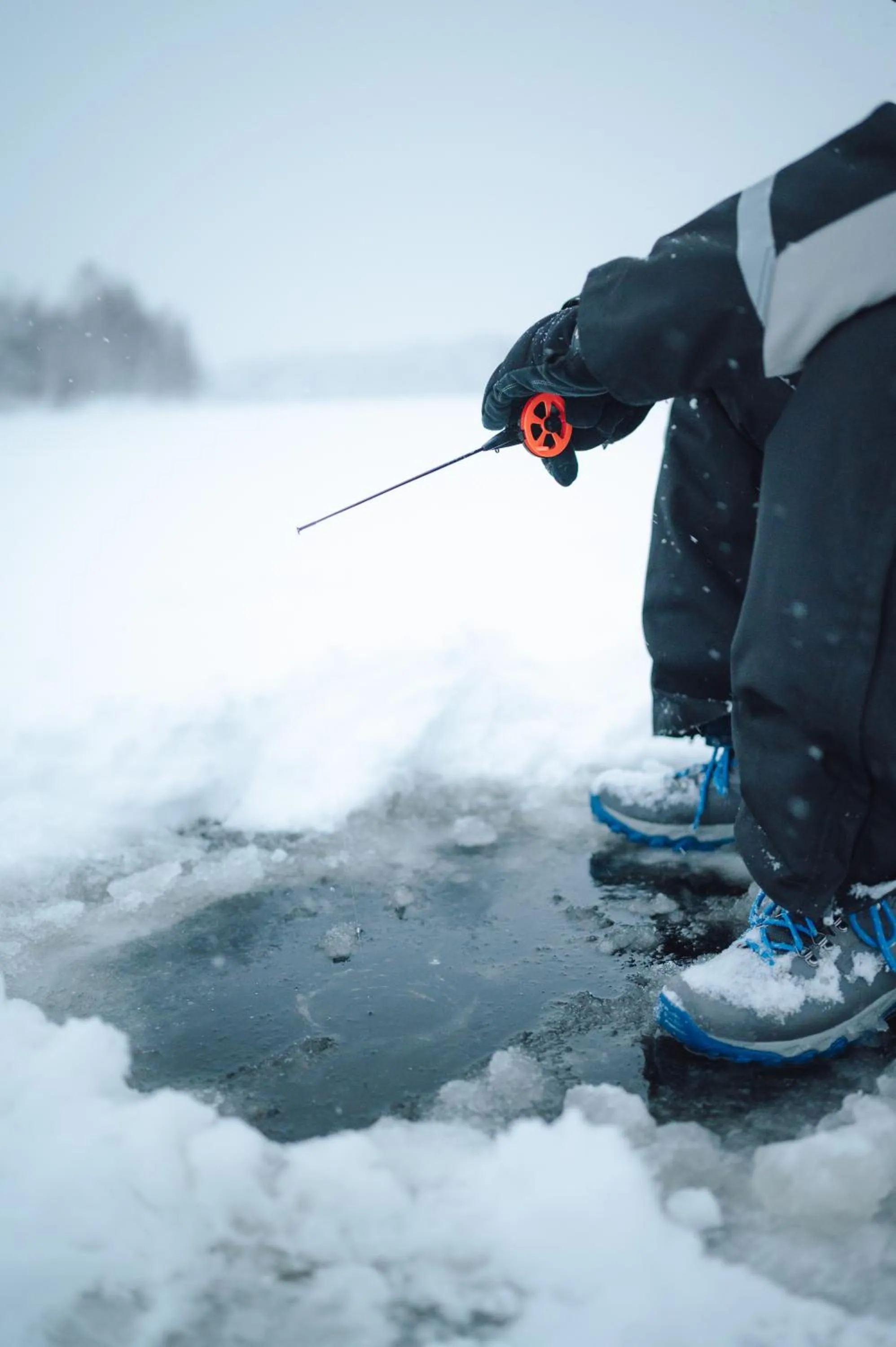 Activities in Hotel Metsähirvas
