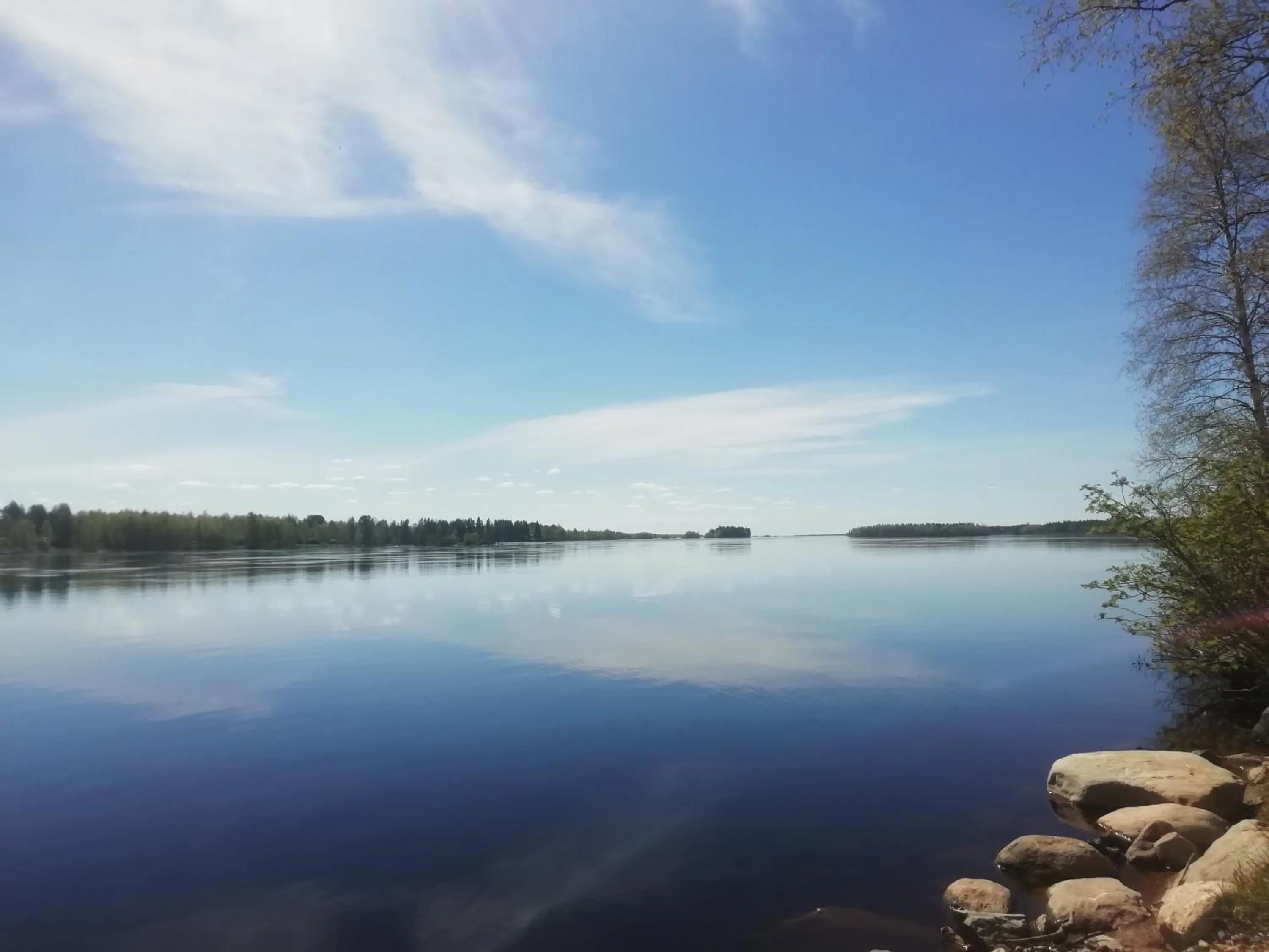 Natural landscape in Hotel Metsähirvas