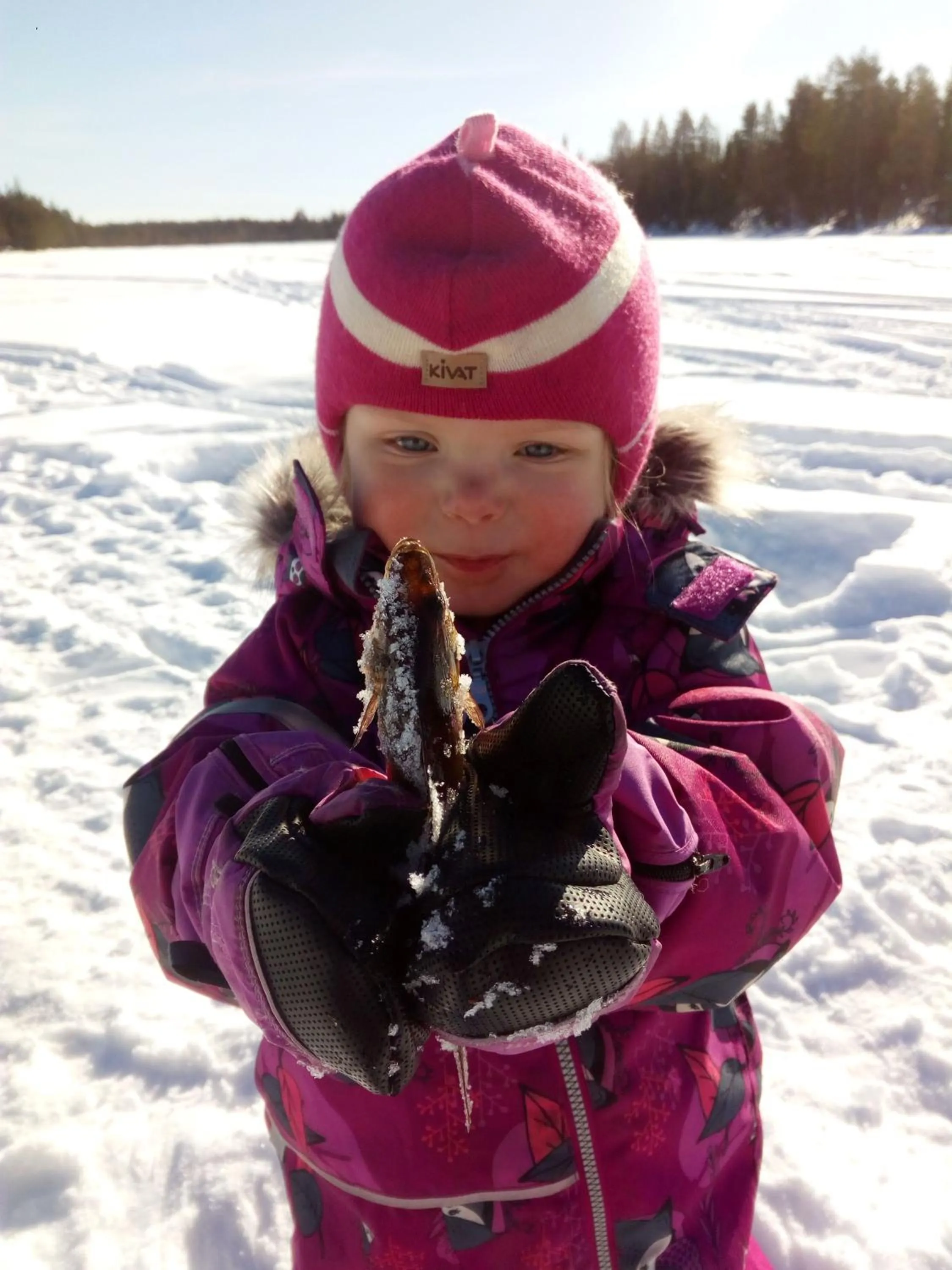 People in Hotel Metsähirvas