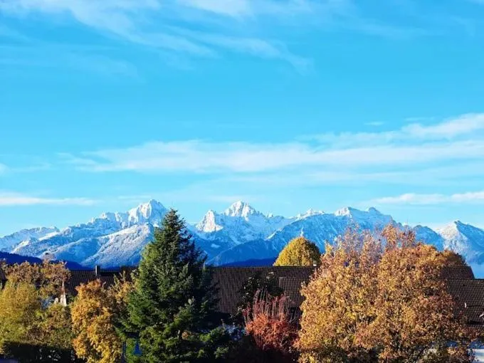 Alpchalet Schwanstein