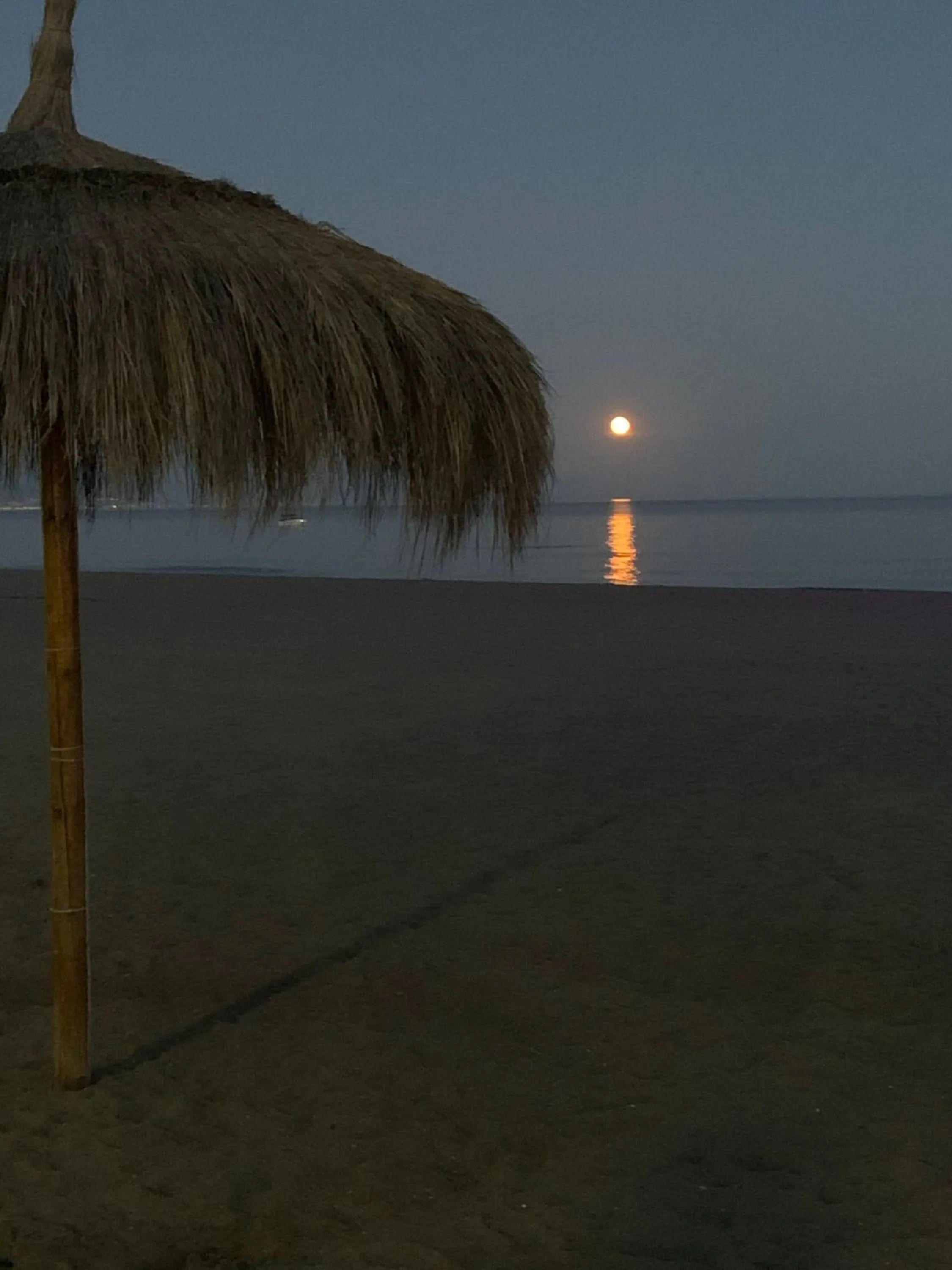 Neighbourhood in Apartamentos Guaquin