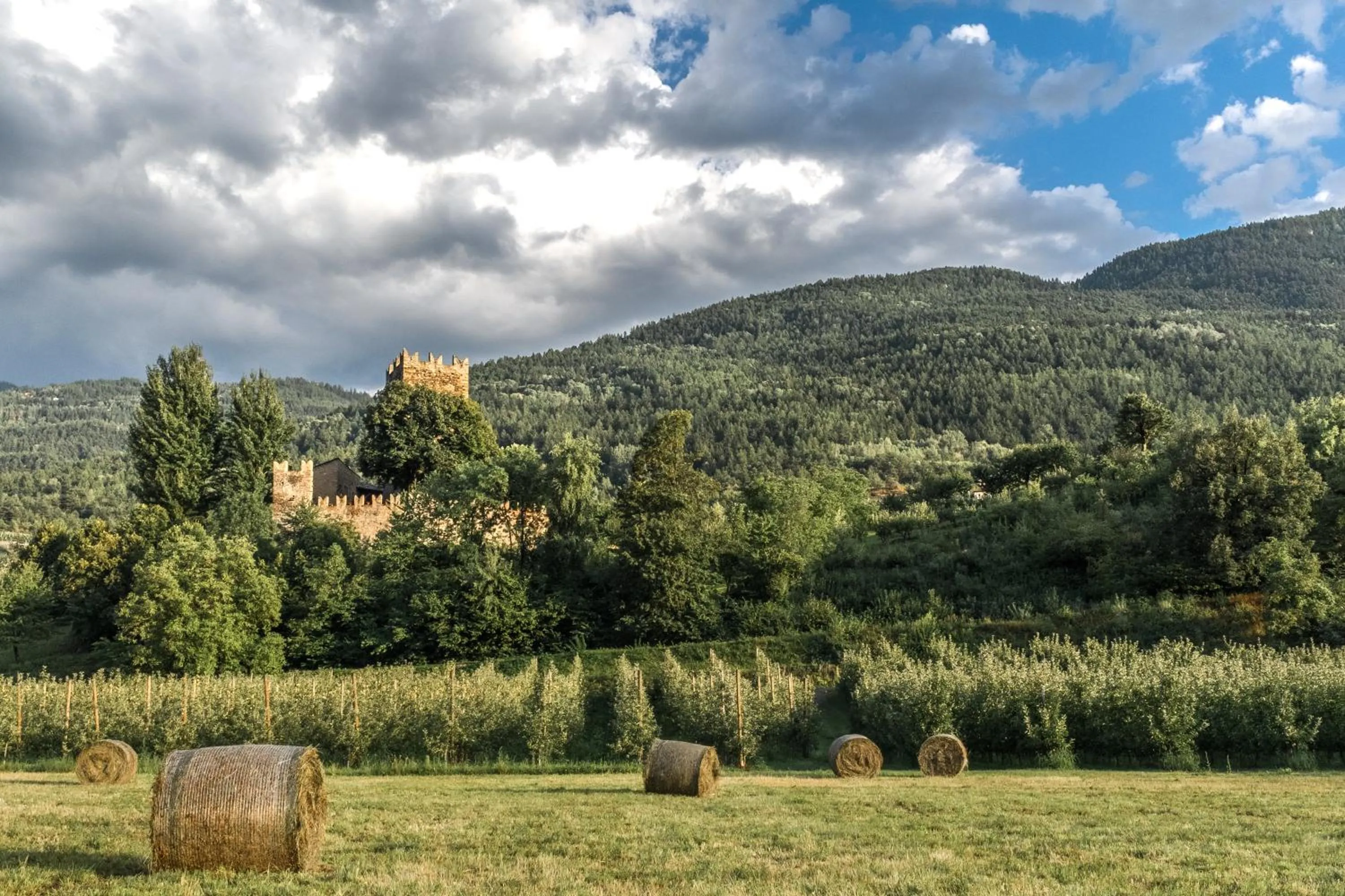 Natural landscape in B&B La Tour de Villa