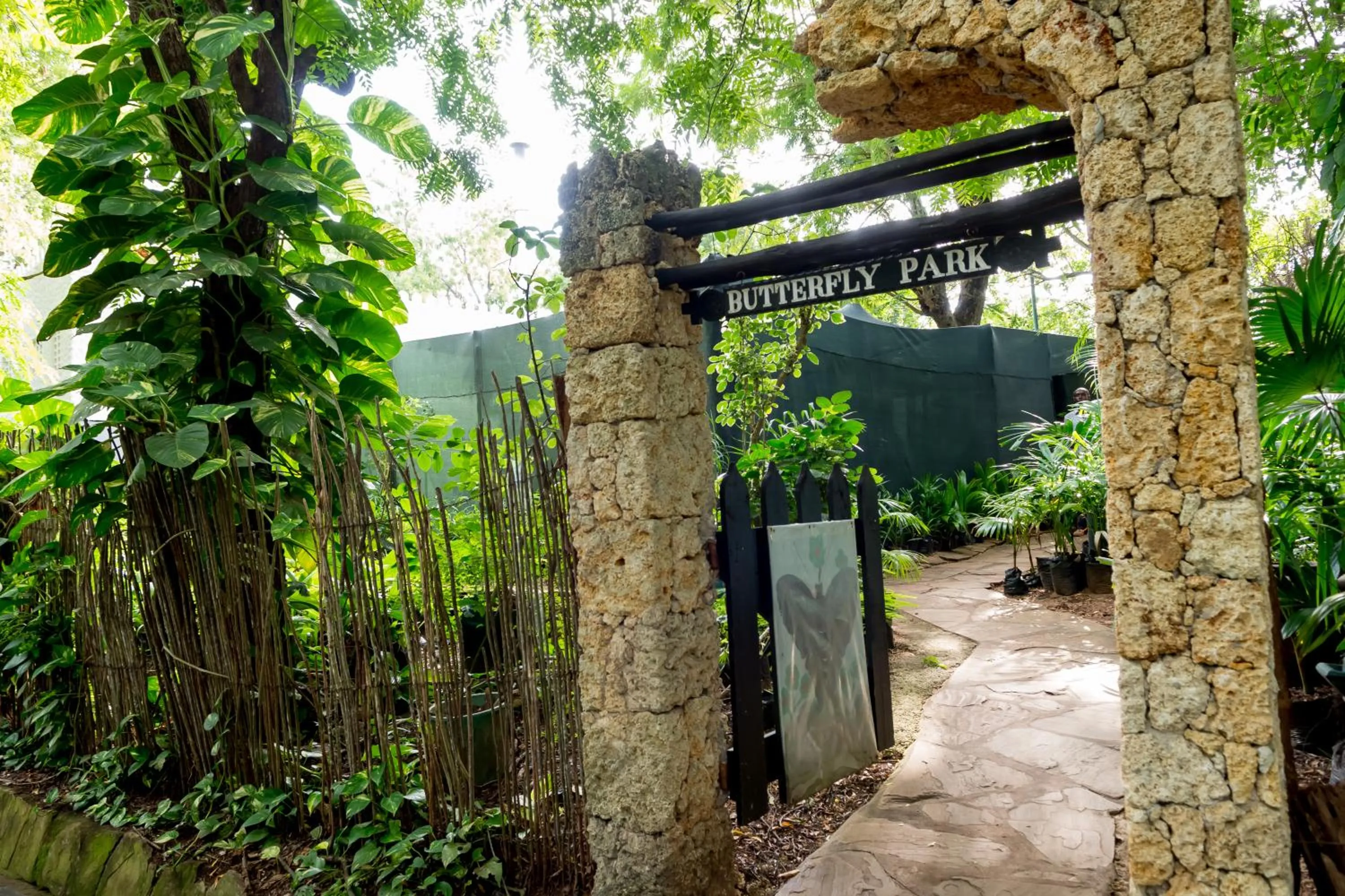 Activities in Serena Beach Resort & Spa