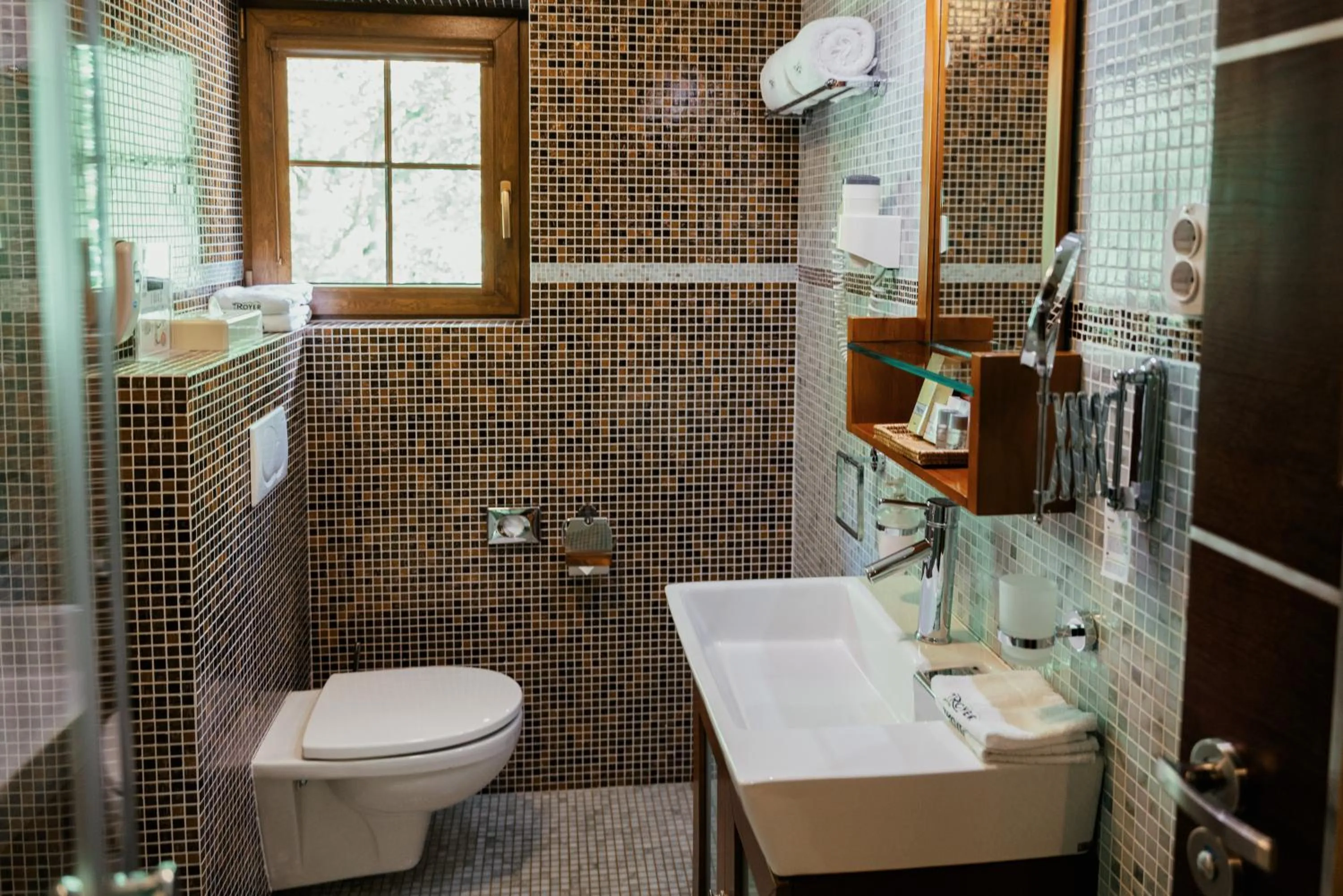 Toilet in Hotel Troyer