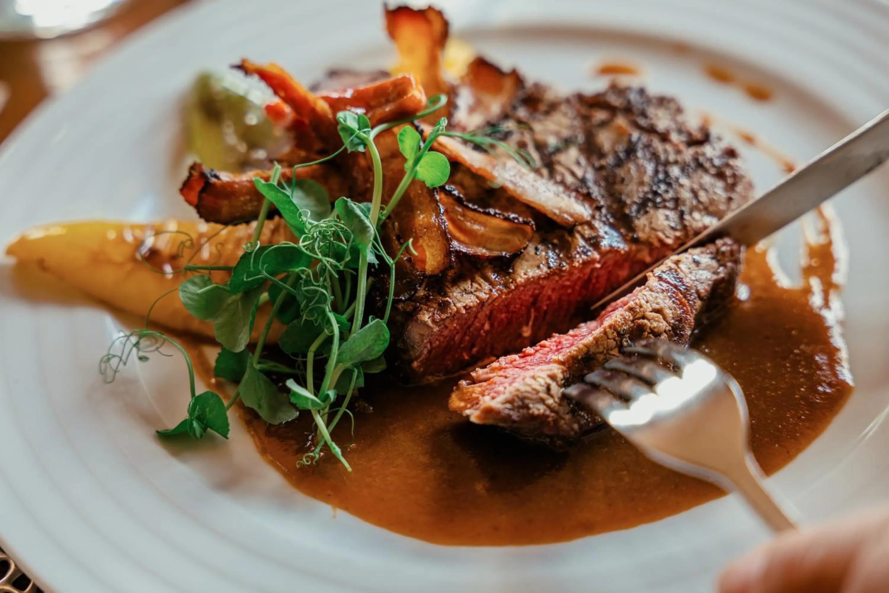 Restaurant/places to eat in Hotel Troyer