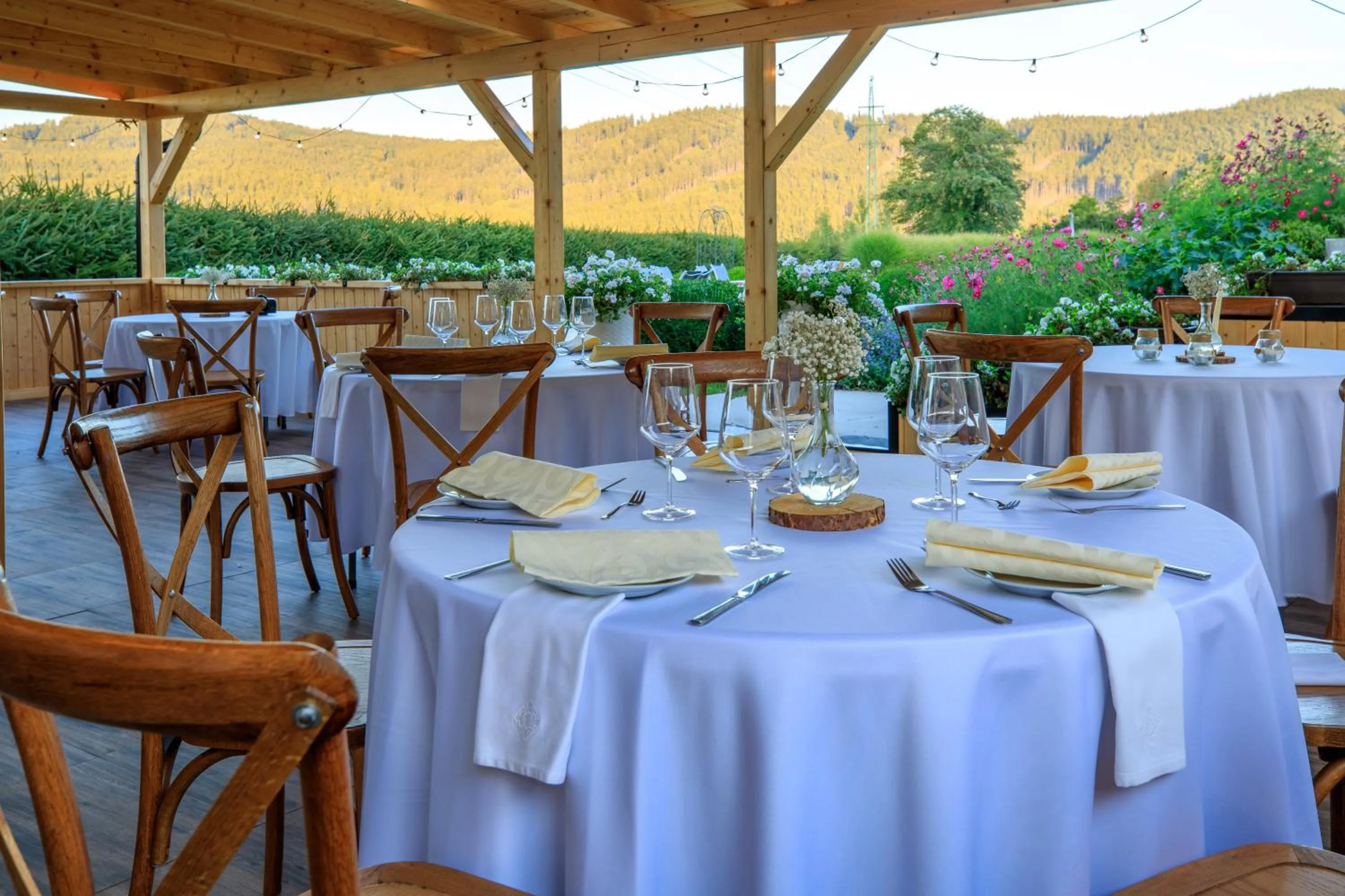 Garden in Hotel Ermi