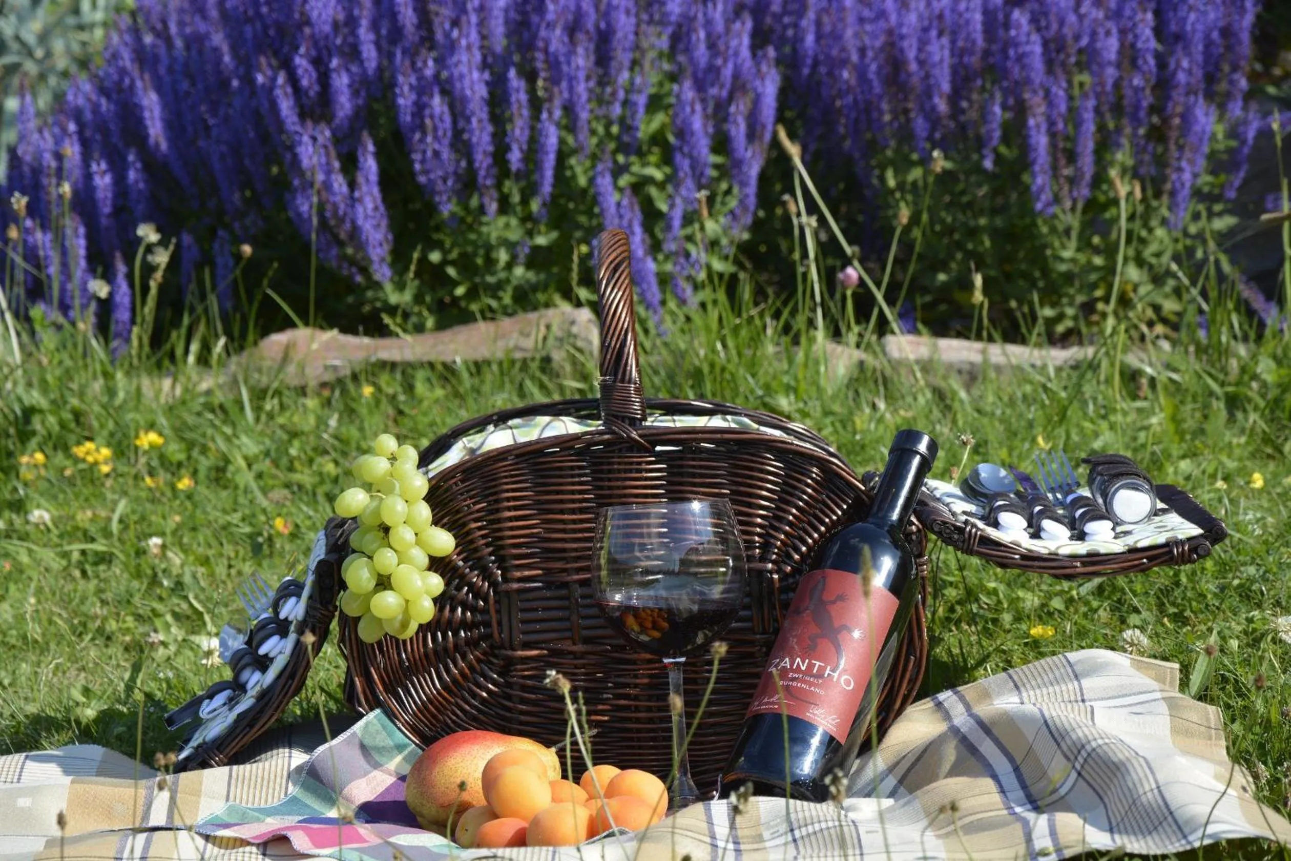 Natural landscape in Hotel Ermi