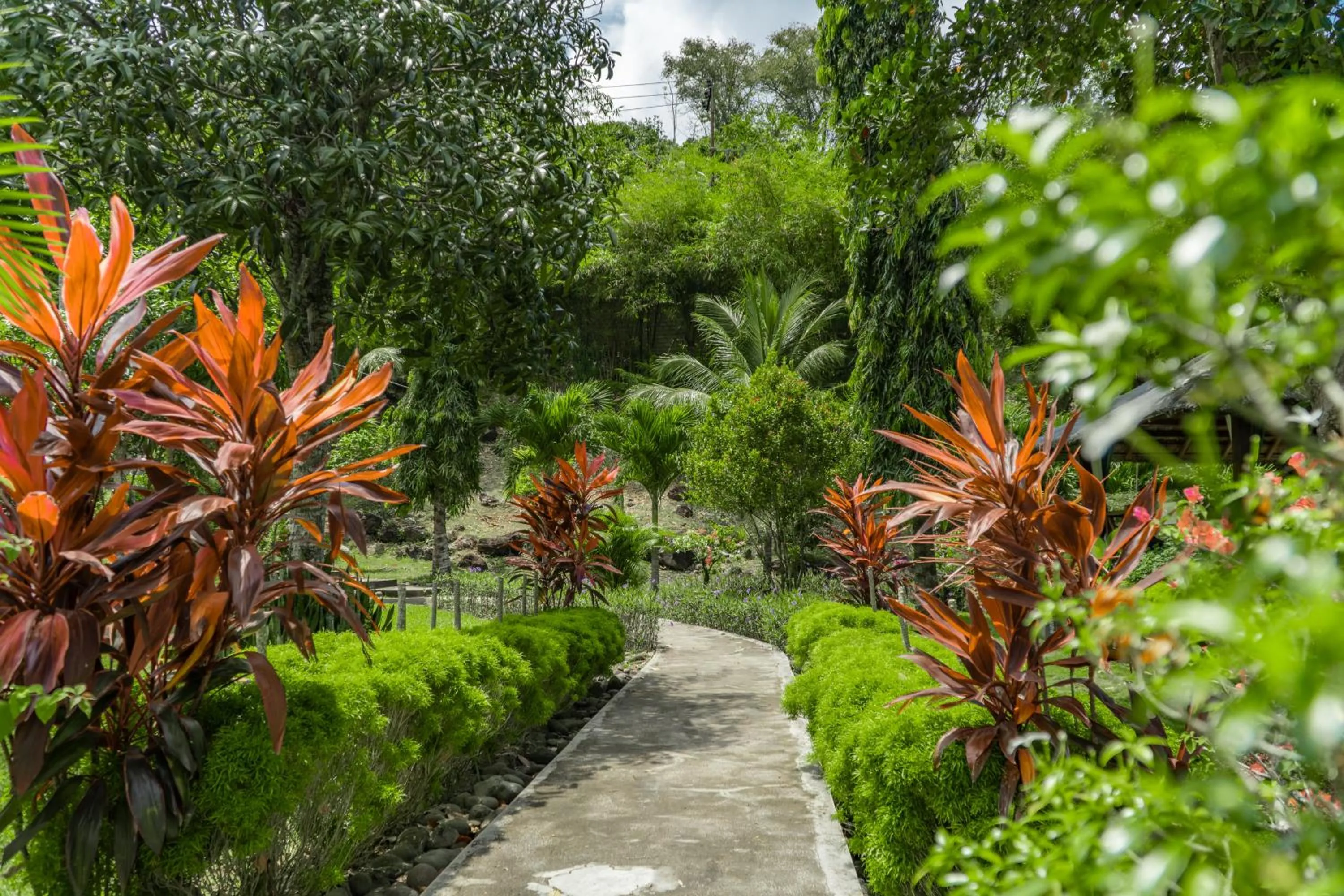 Day in The Hawk's Nest Resort