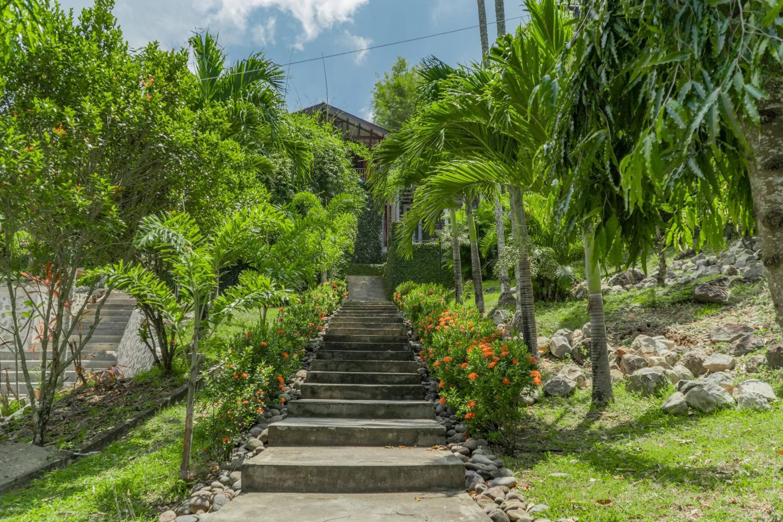 Garden view in The Hawk's Nest Resort