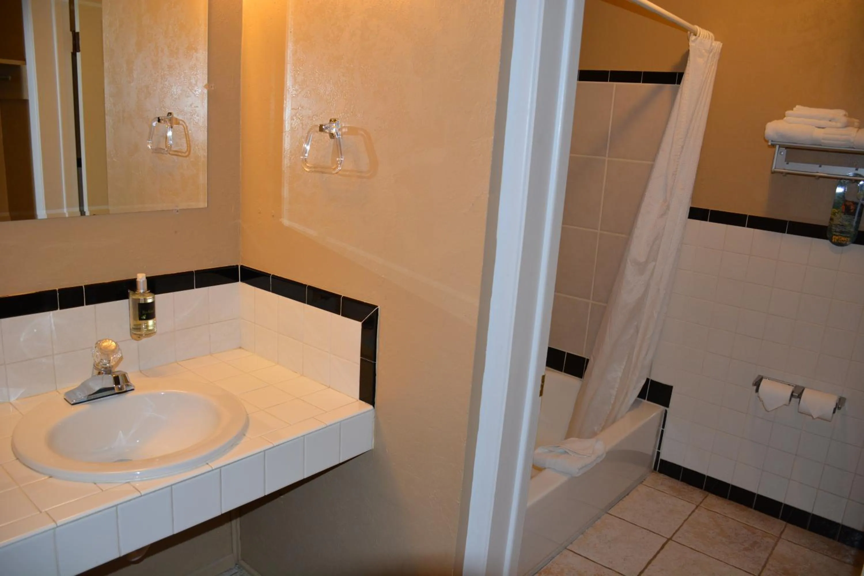 Bathroom in Sitzmark Chalet Inn