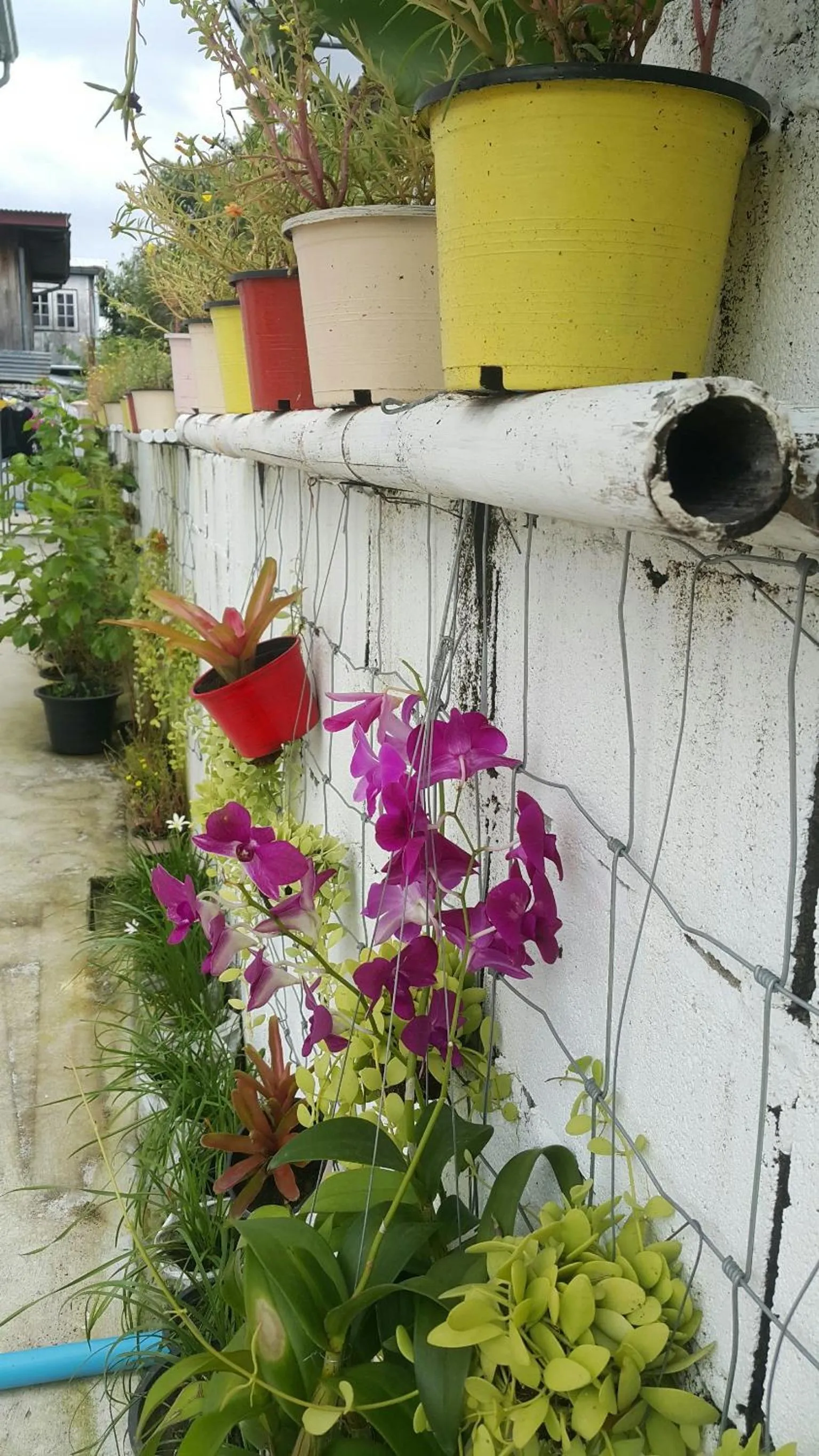 Property building in Patchy & PPraw Family