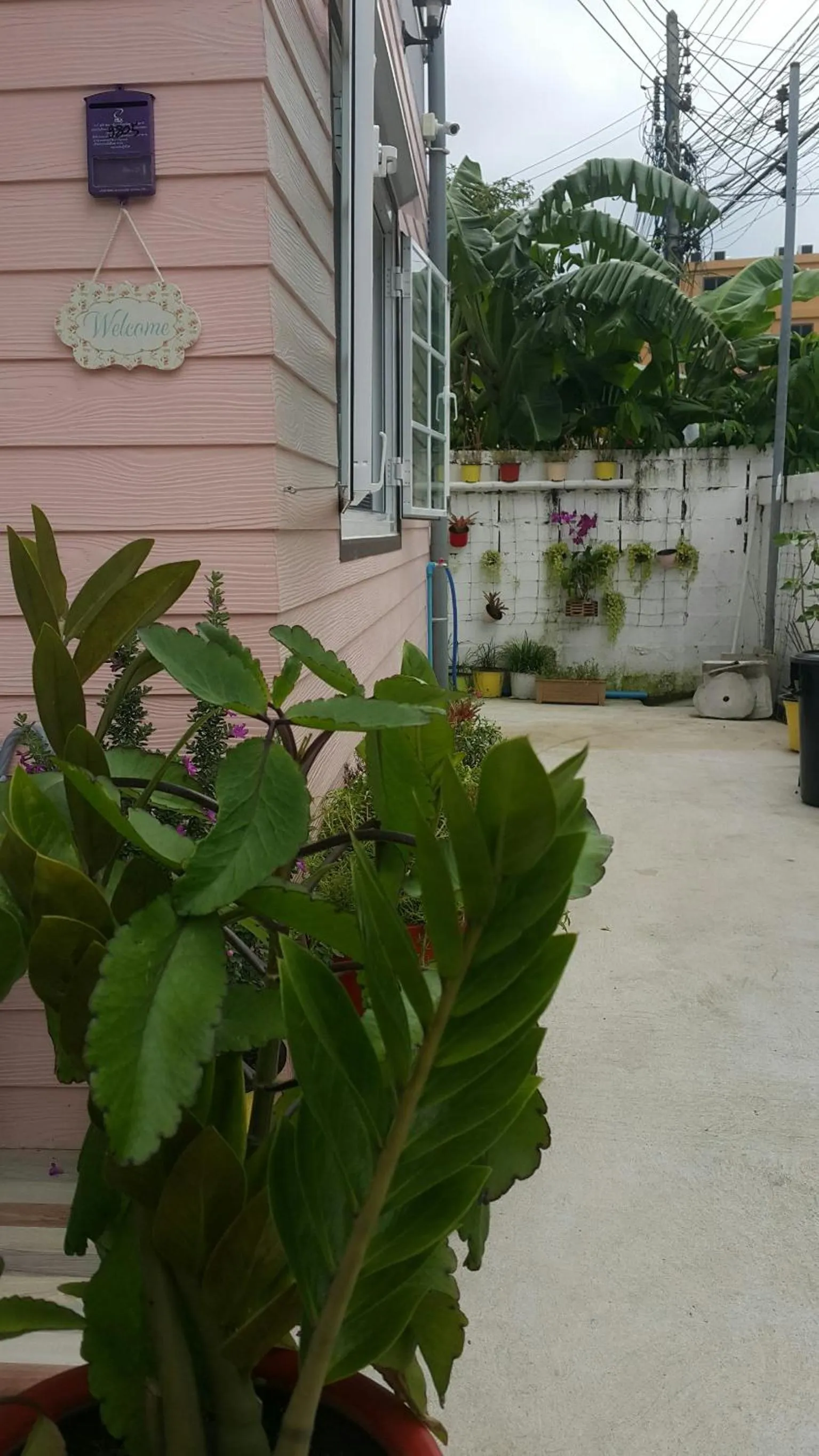 Patchy & PPraw Family