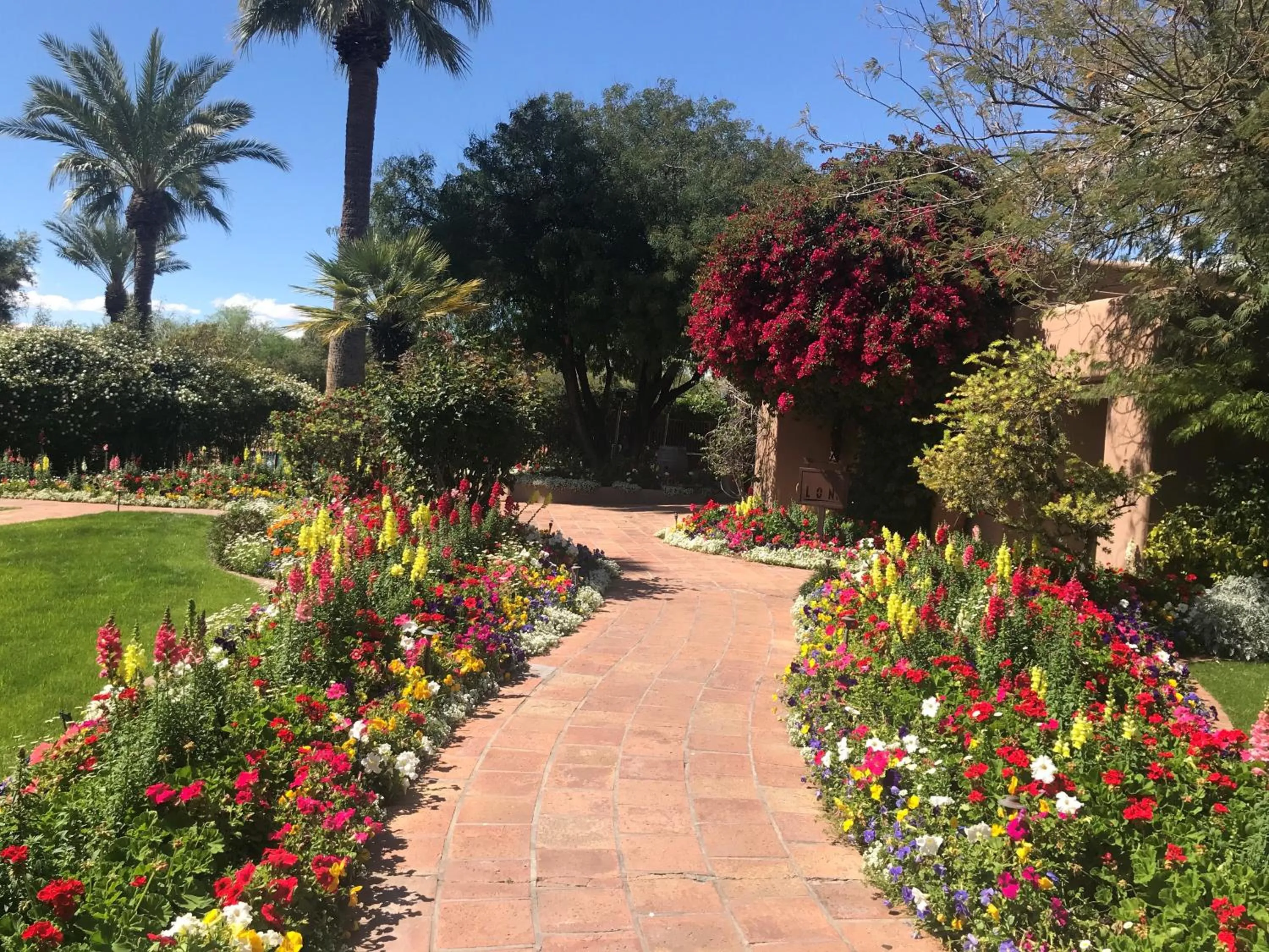 Garden in The Hermosa Inn
