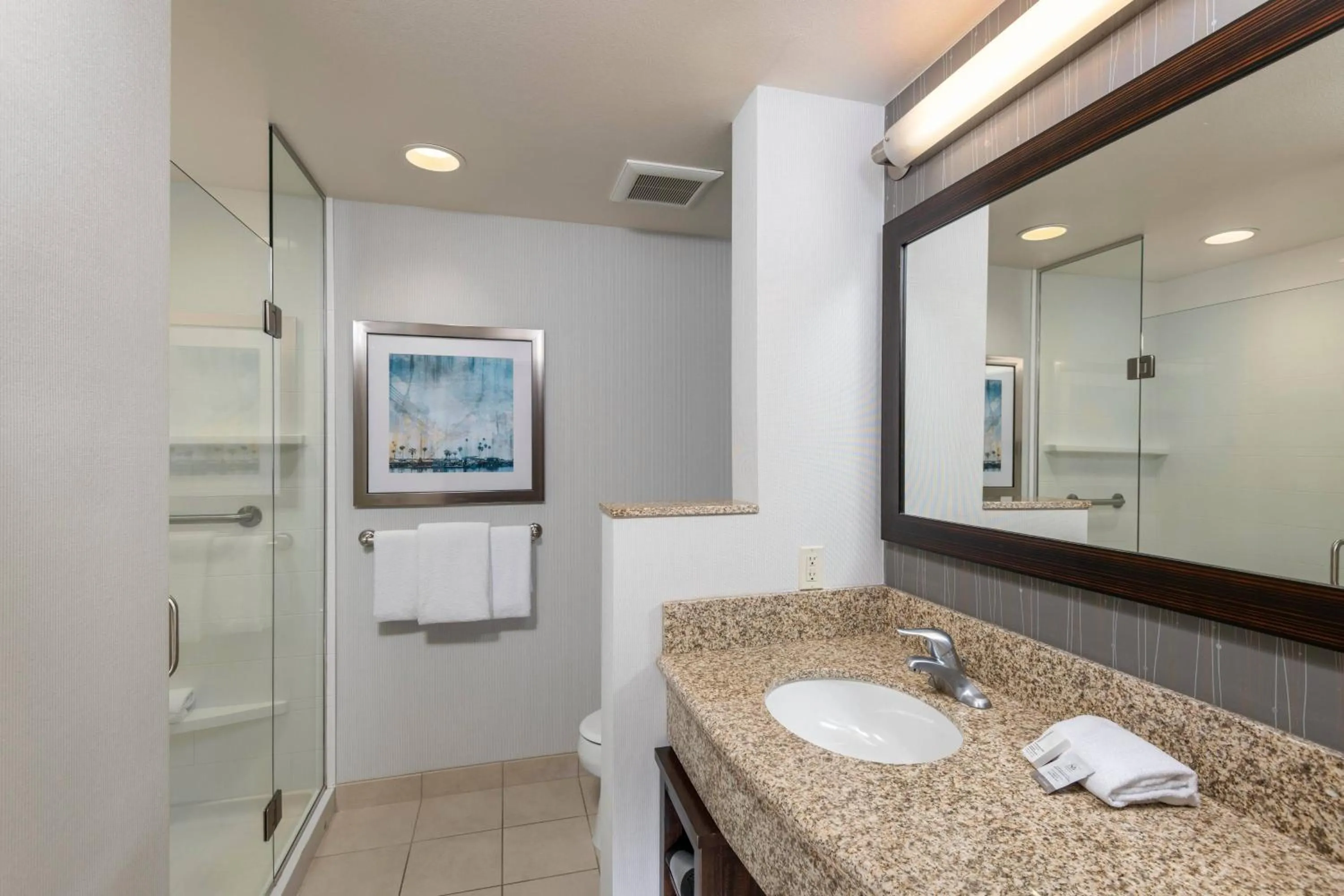 Bathroom in Courtyard by Marriott San Diego Oceanside