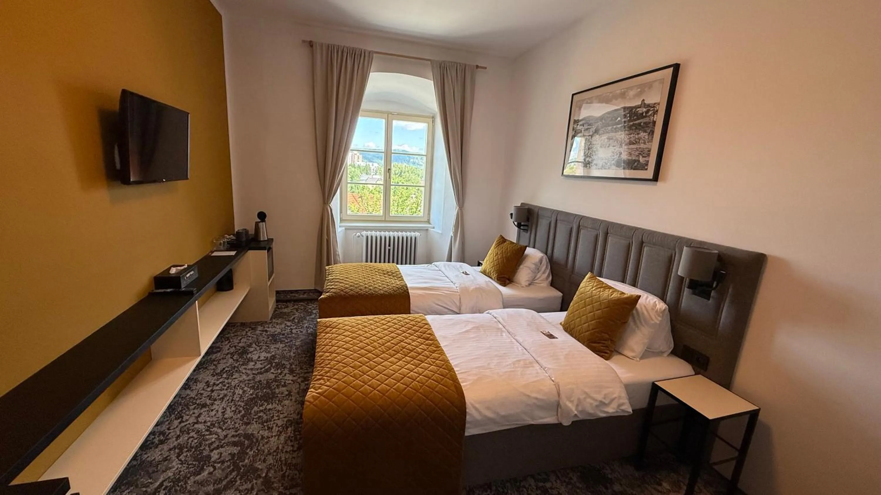 Photo of the whole room, Bed in Hotel Tynec