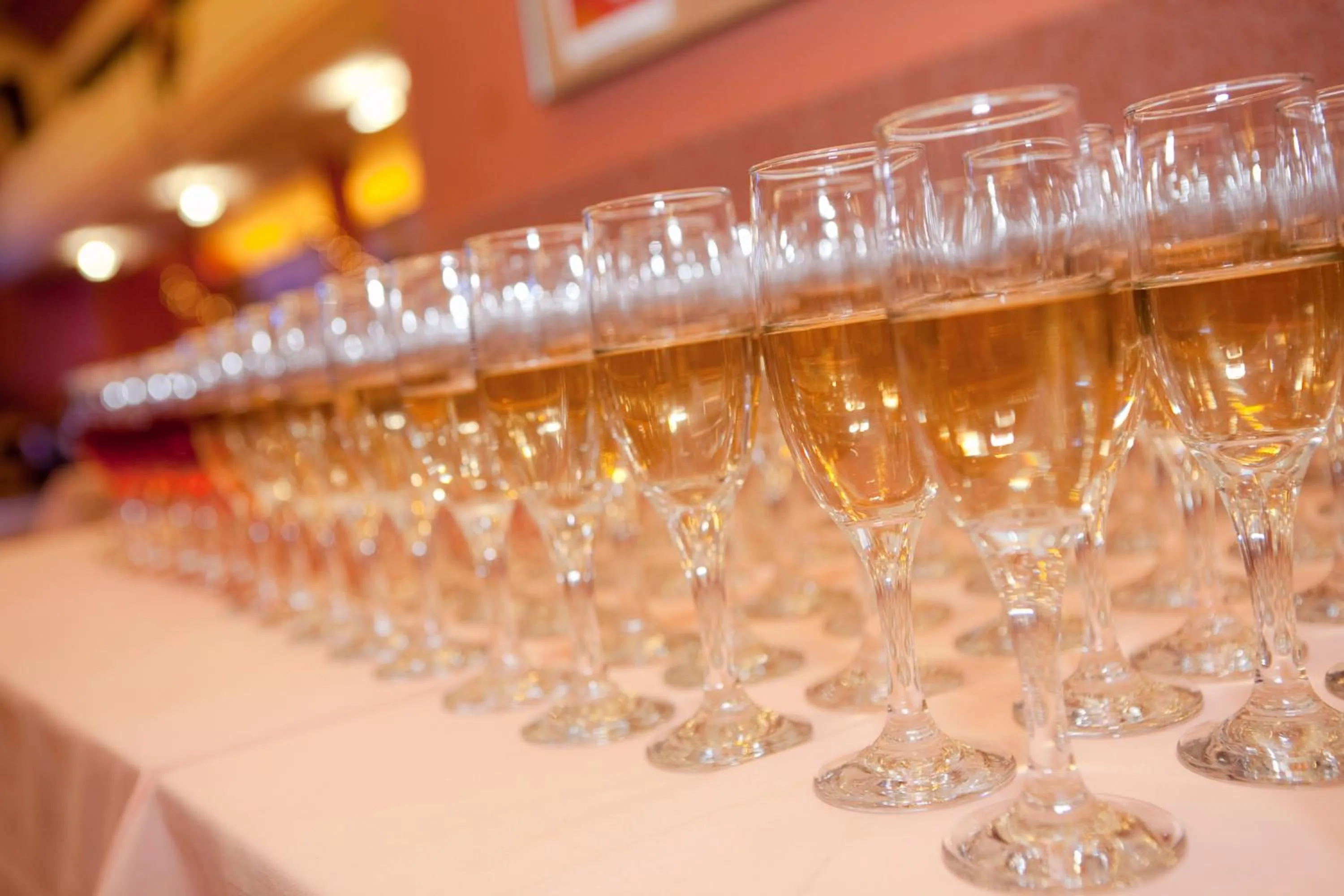 Alcoholic drinks in Hotel Tynec