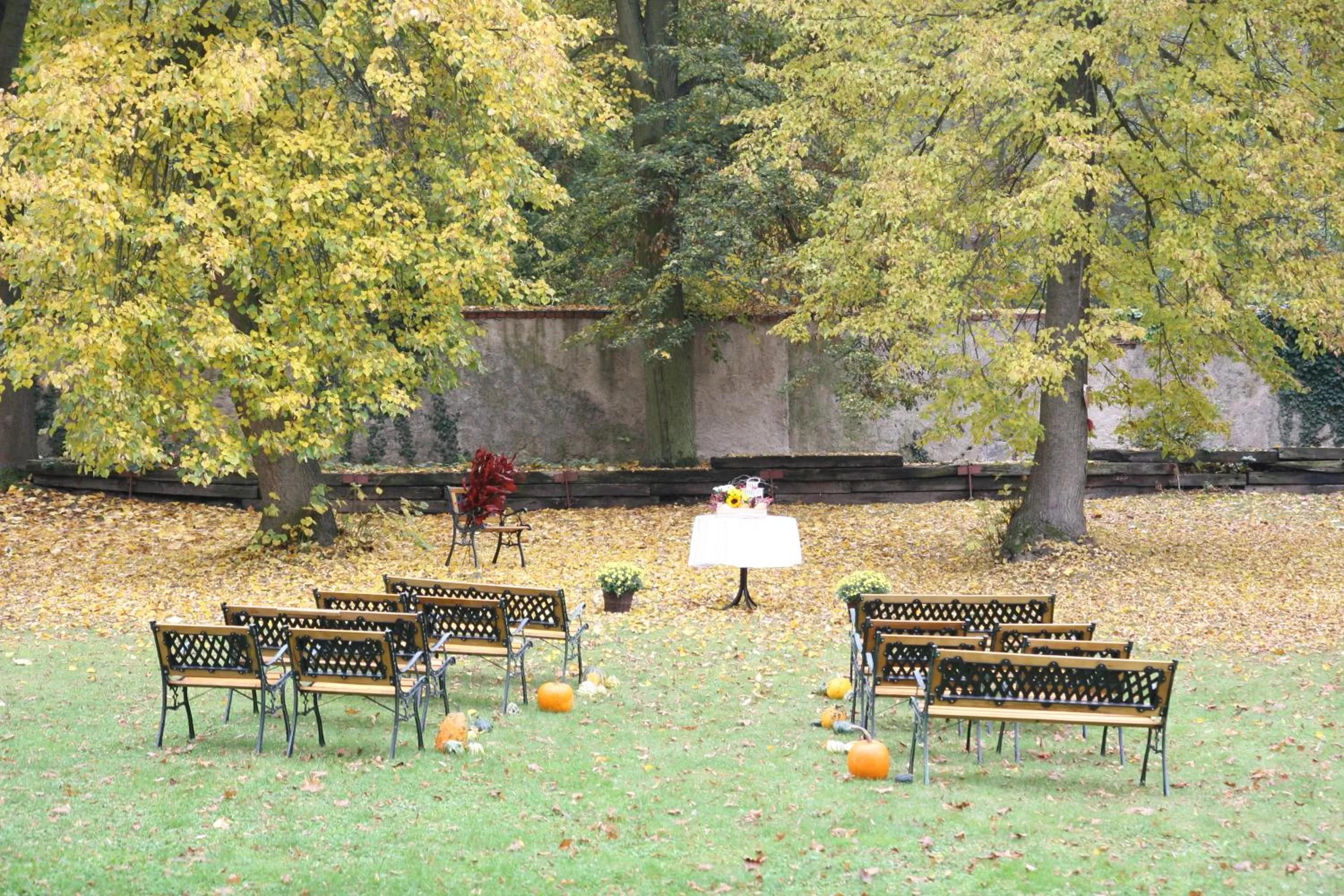 Garden in Hotel Tynec