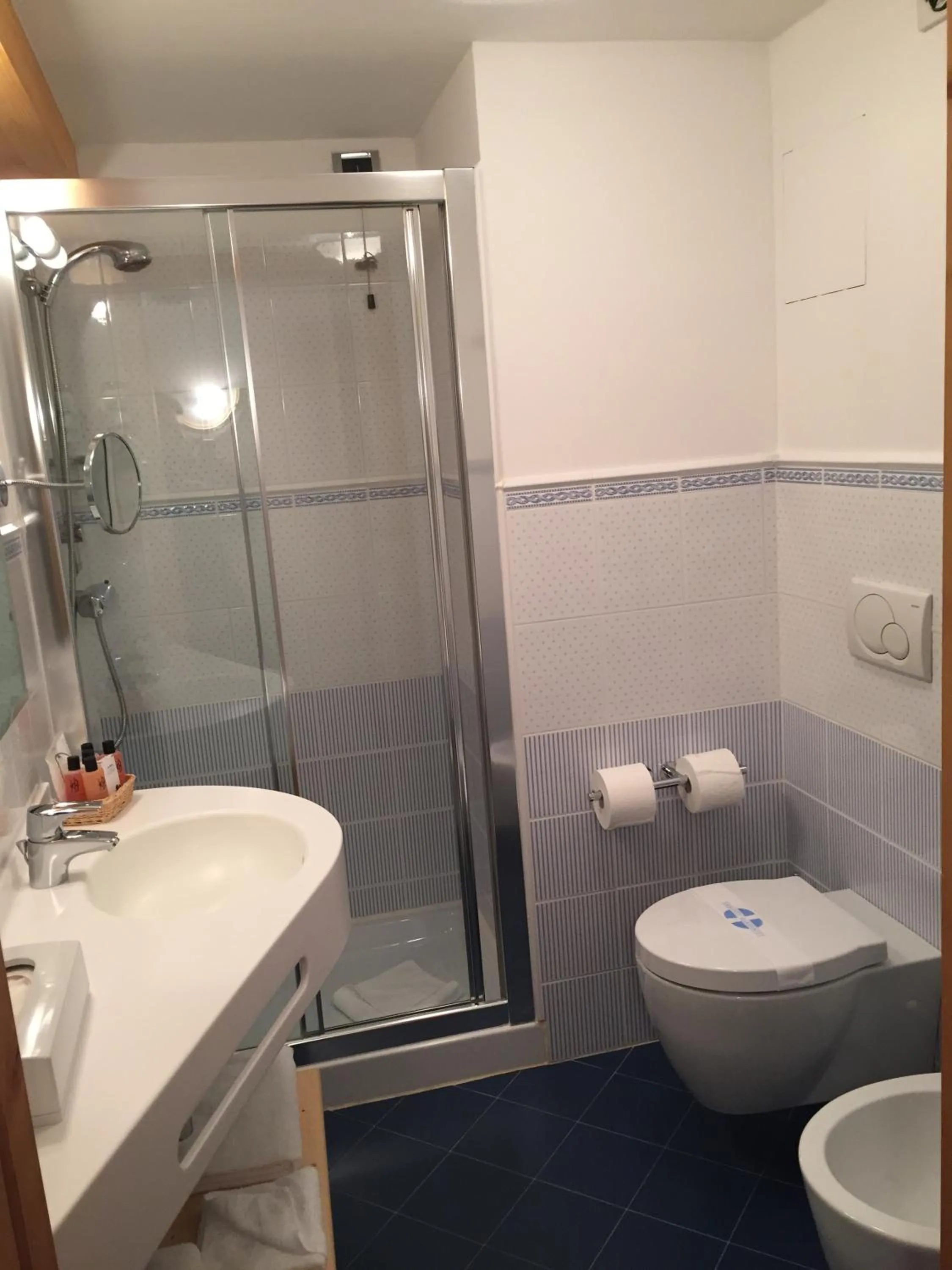 Toilet in Campiglio Bellavista