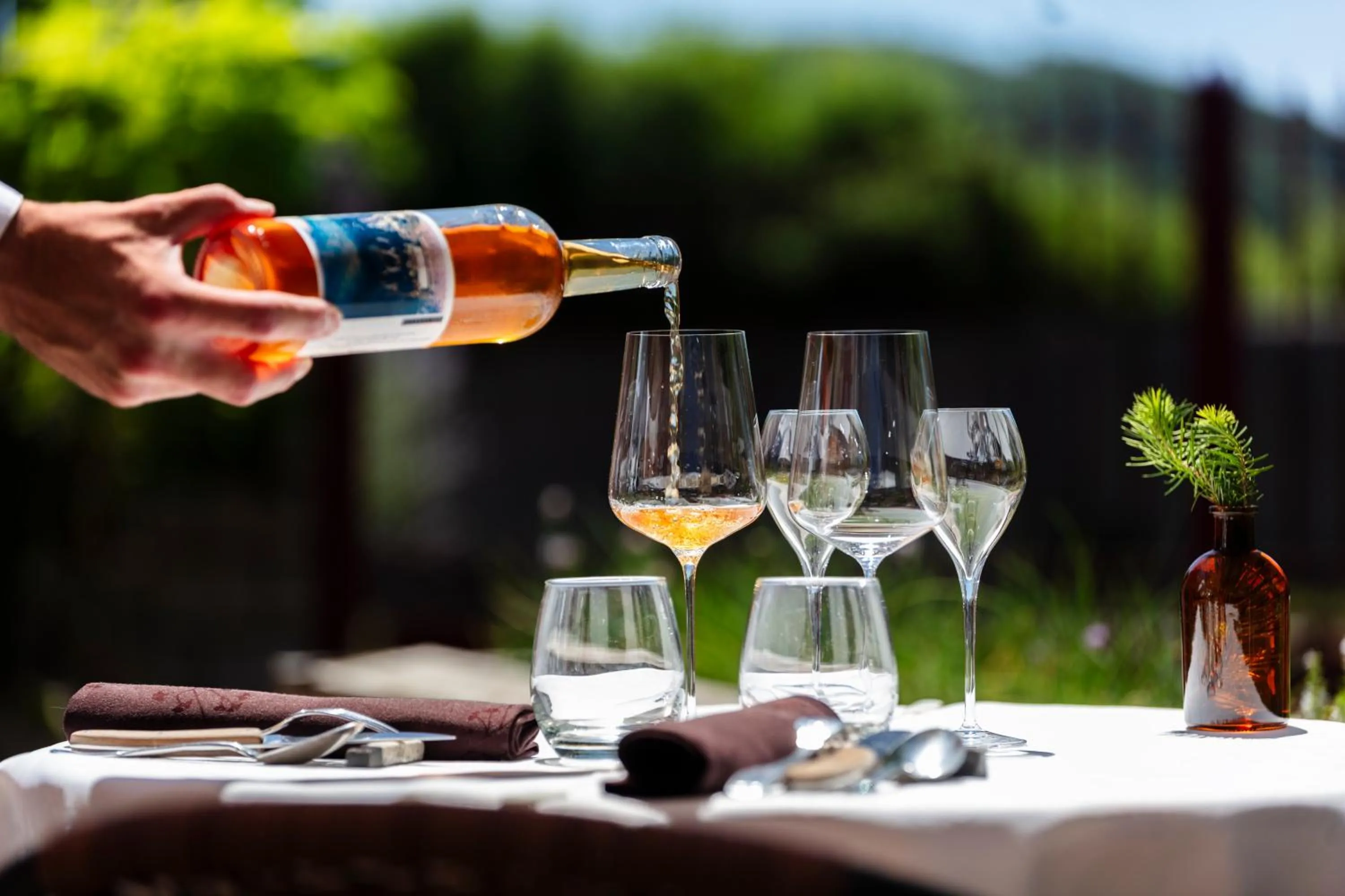 Restaurant/places to eat in Hotel Restaurant Les Glycines