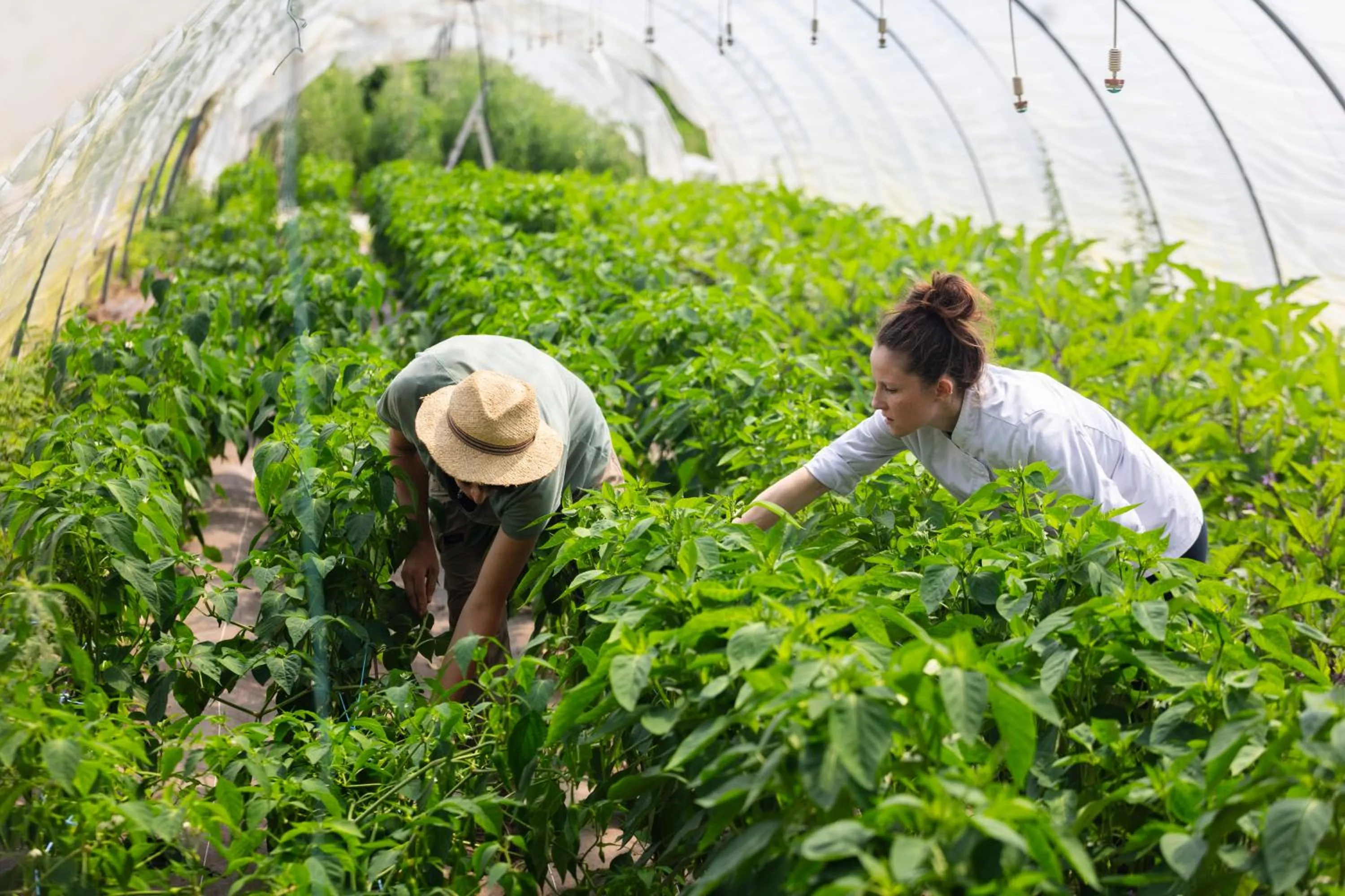 kitchen in Hotel Restaurant Les Glycines