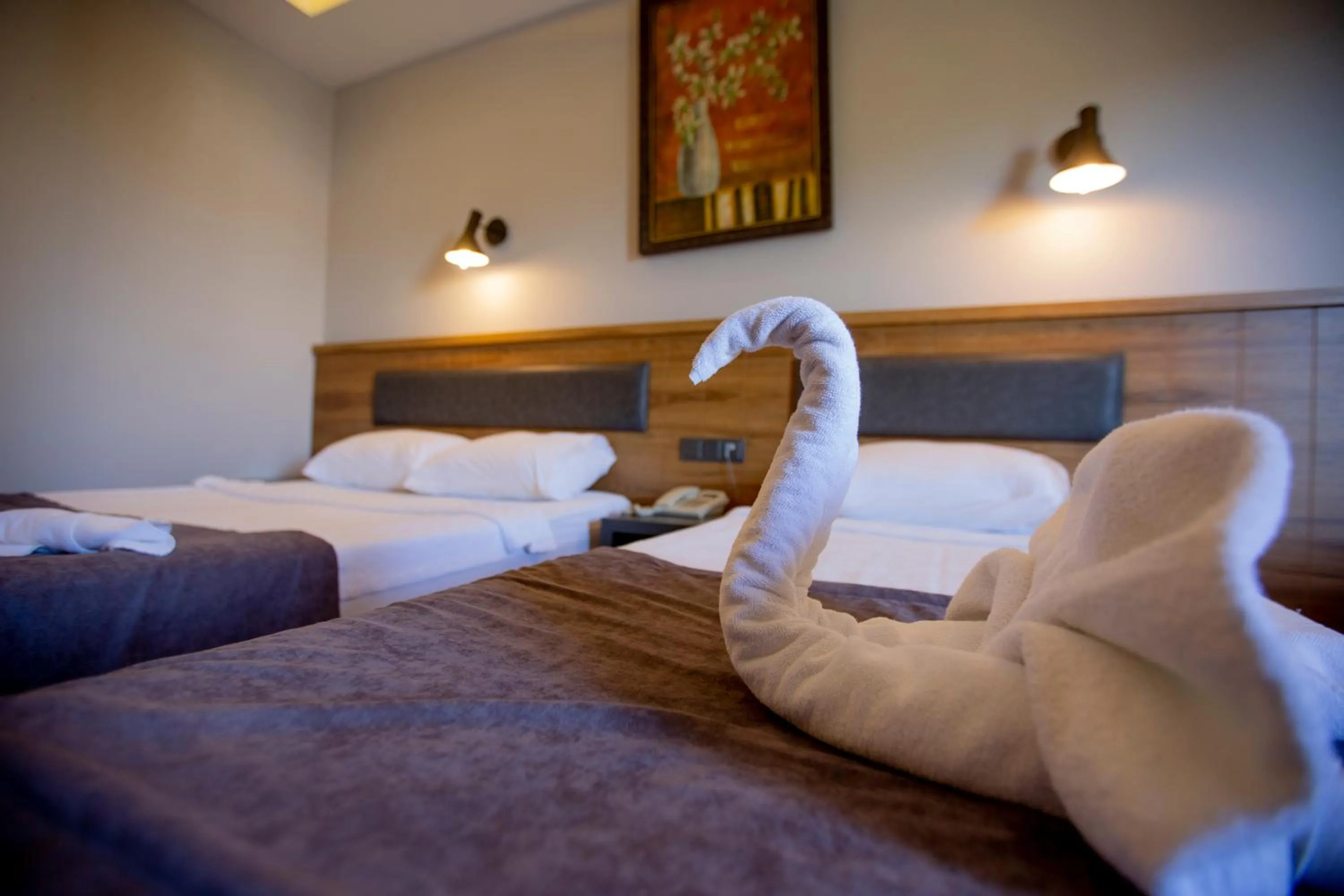 Kleopatra Fatih Hotel