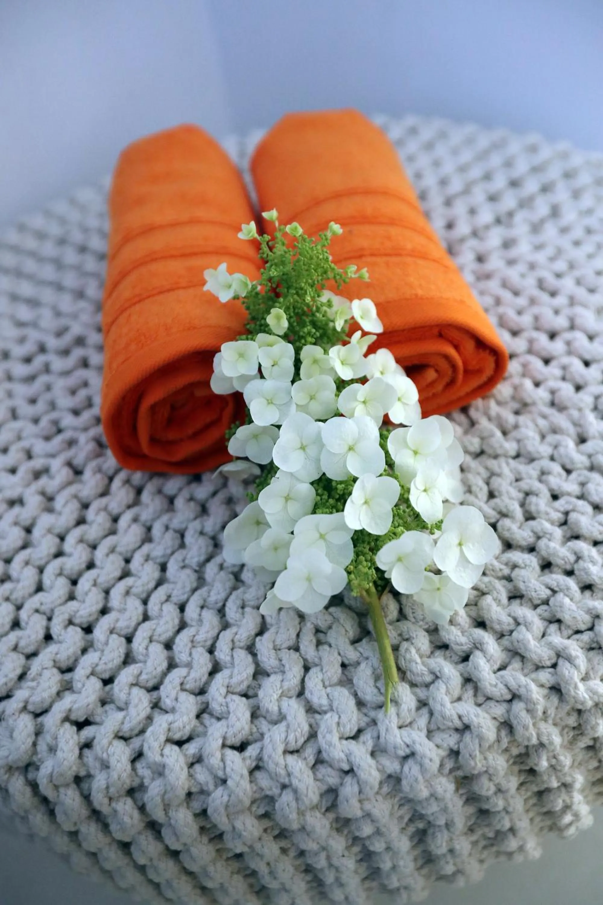 towels in B&B PETIT PRINCE, GENT
