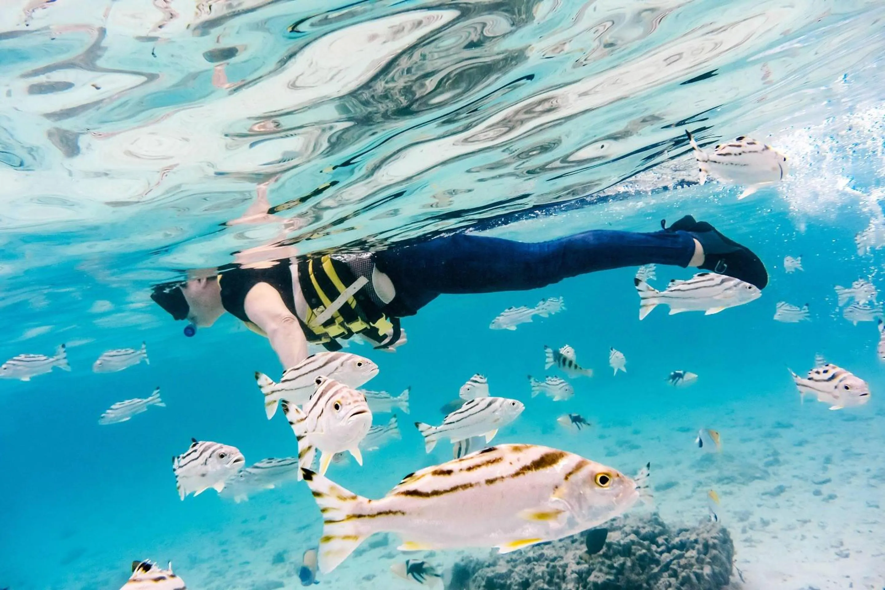 Other in Comfort Hotel Ishigaki Island