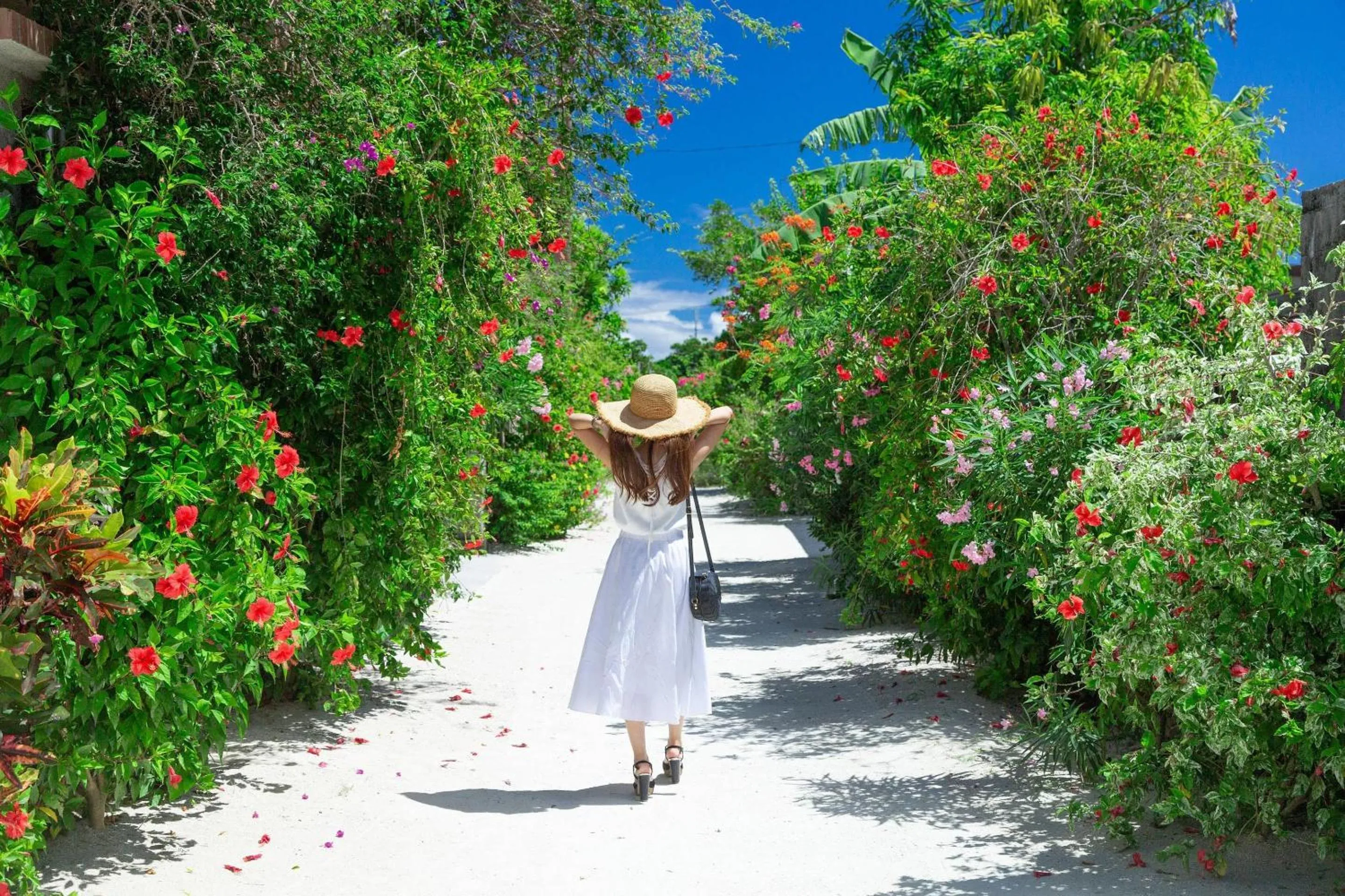 Other in Comfort Hotel Ishigaki Island