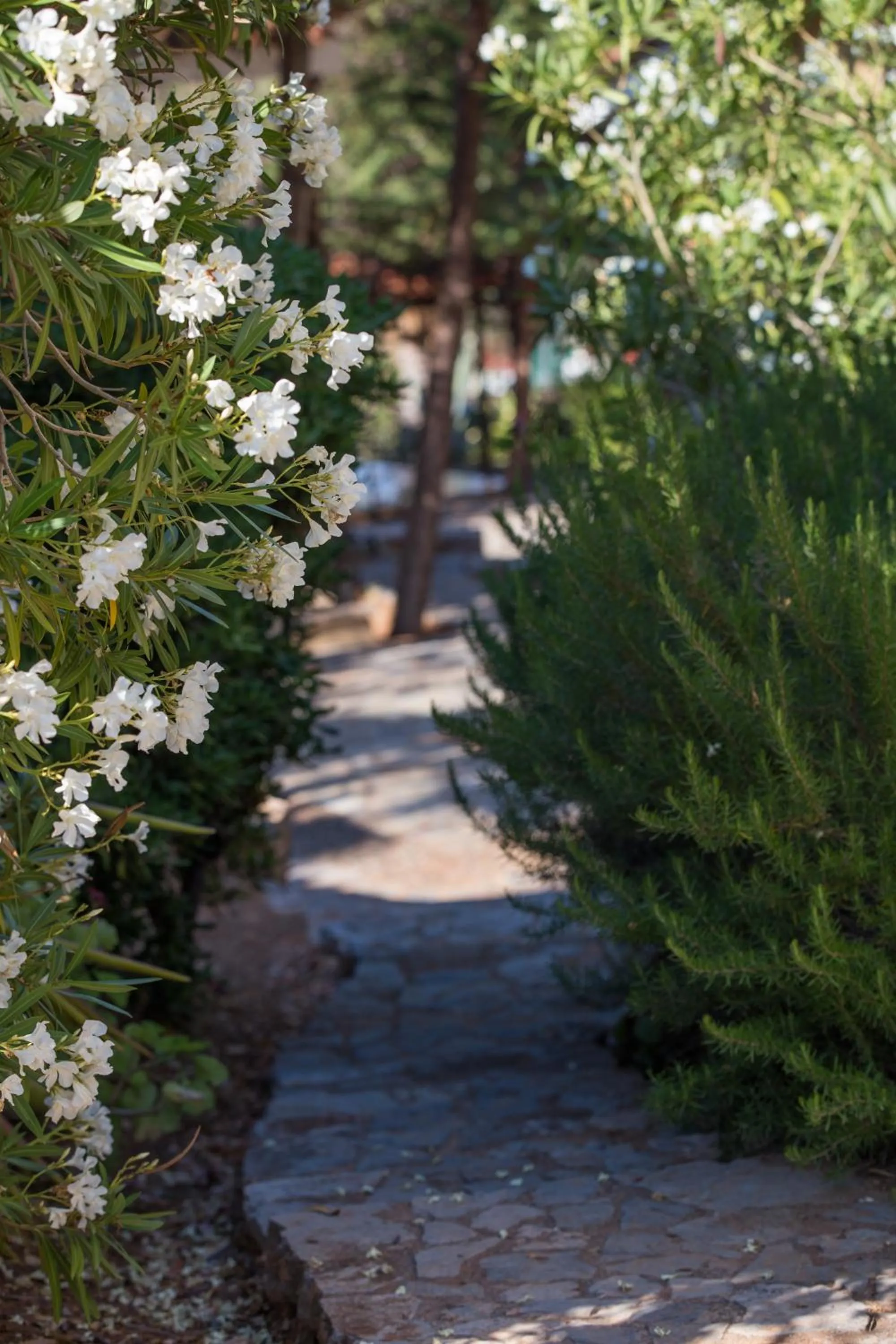 Garden in Monemvasia Village (ex Topalti)
