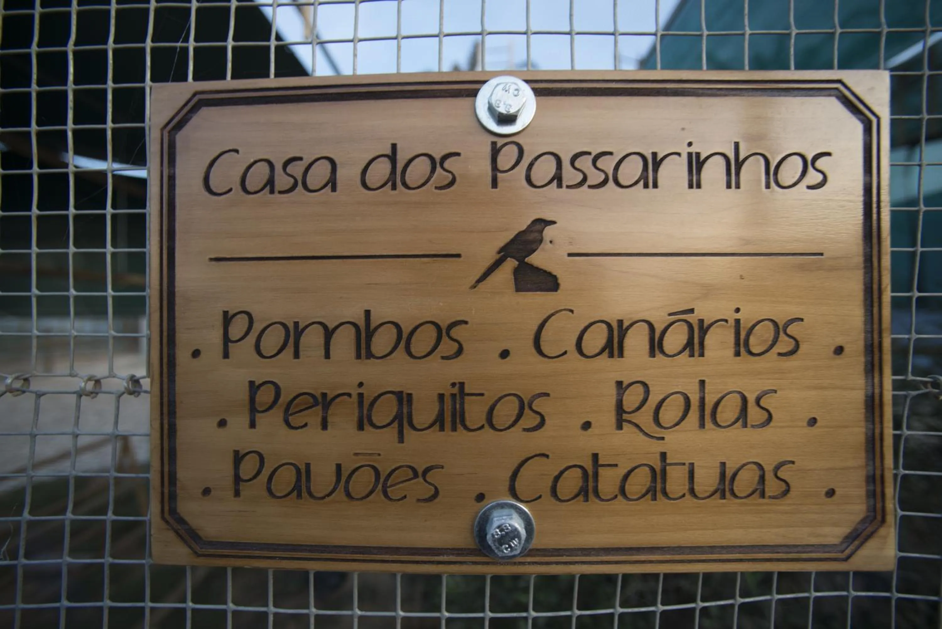 Other in Vila Gale Alentejo Vineyard - Clube de Campo