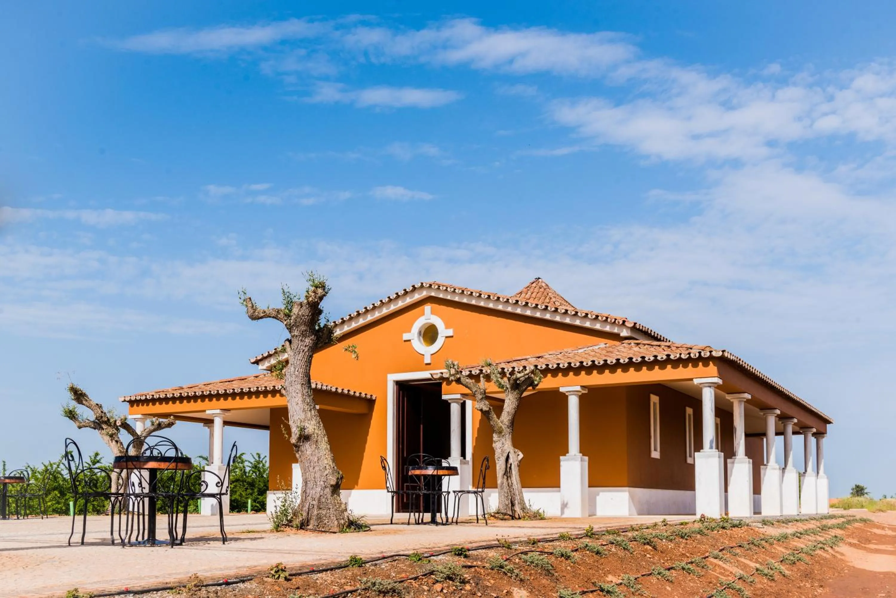 Property building in Vila Gale Alentejo Vineyard - Clube de Campo