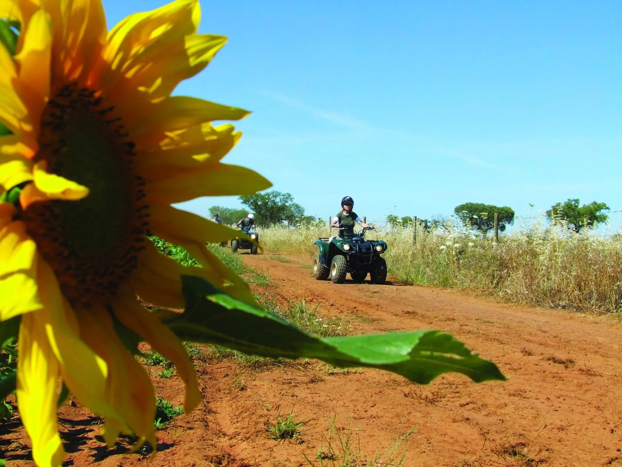 Other in Vila Gale Alentejo Vineyard - Clube de Campo