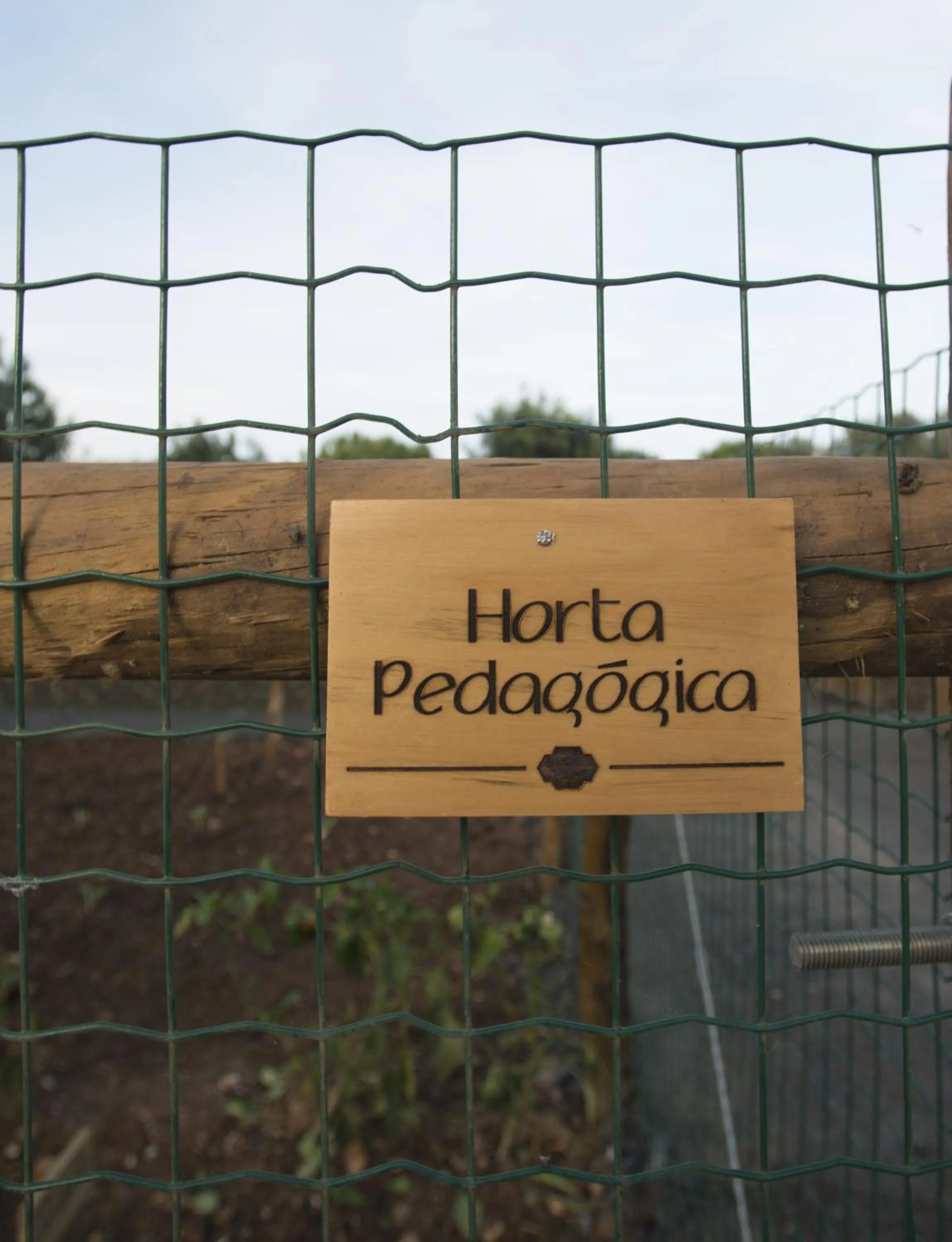 Other in Vila Gale Alentejo Vineyard - Clube de Campo