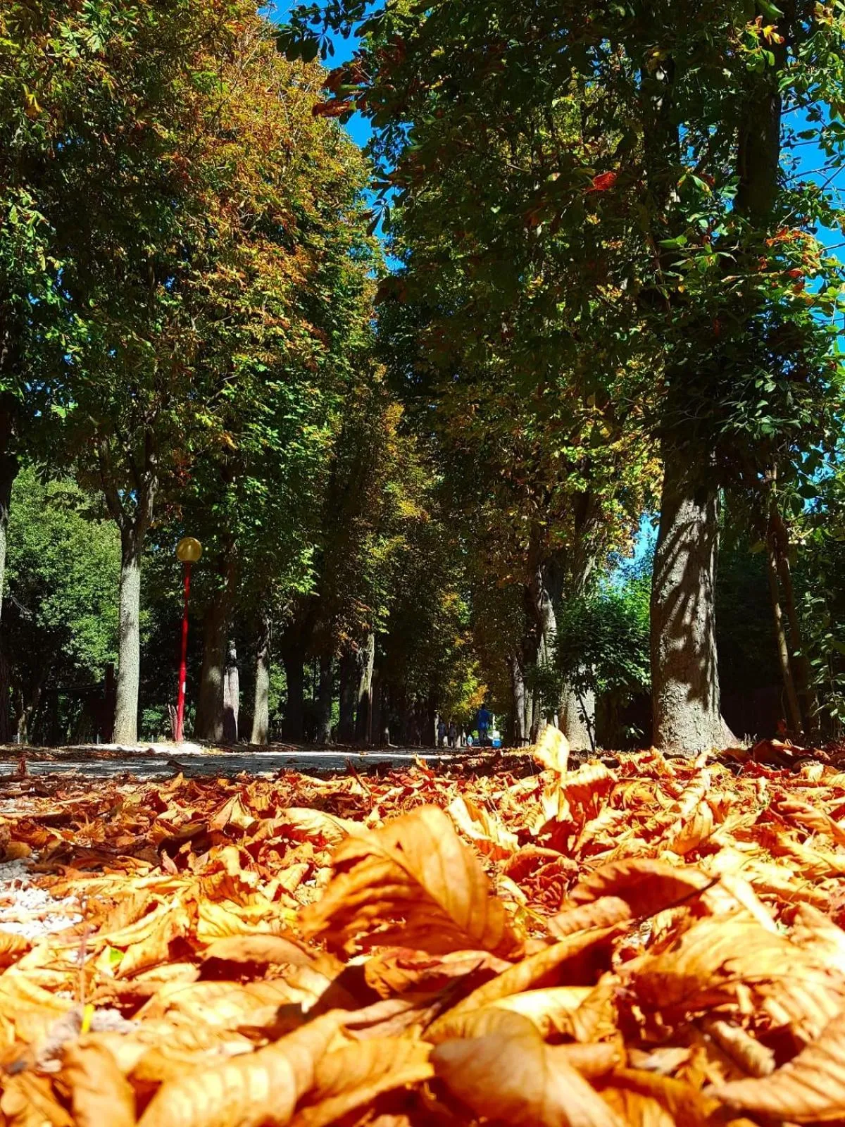 Property building in il gabbiano giallo