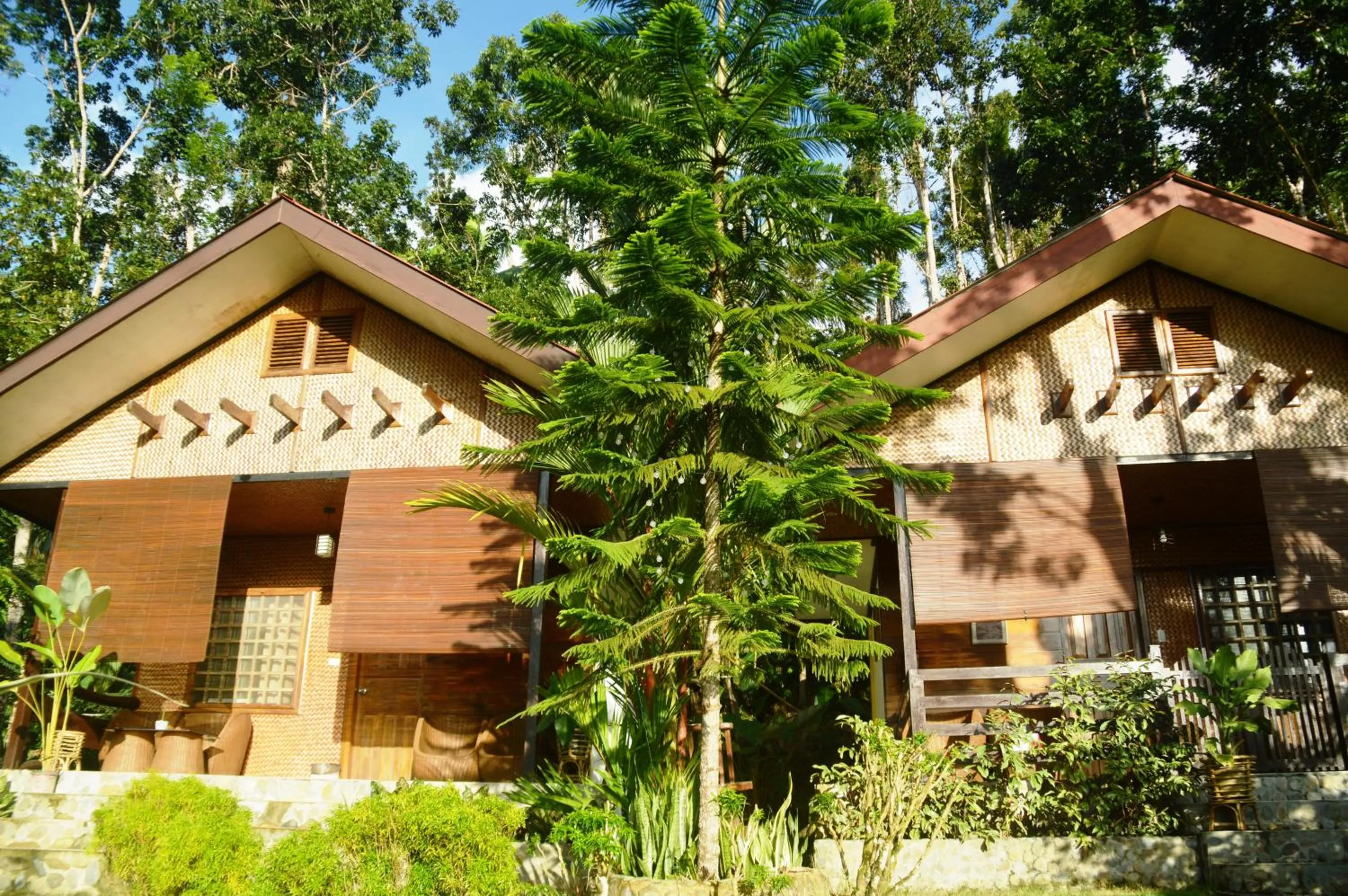 Guests in Victordelia Hilltop Hostel