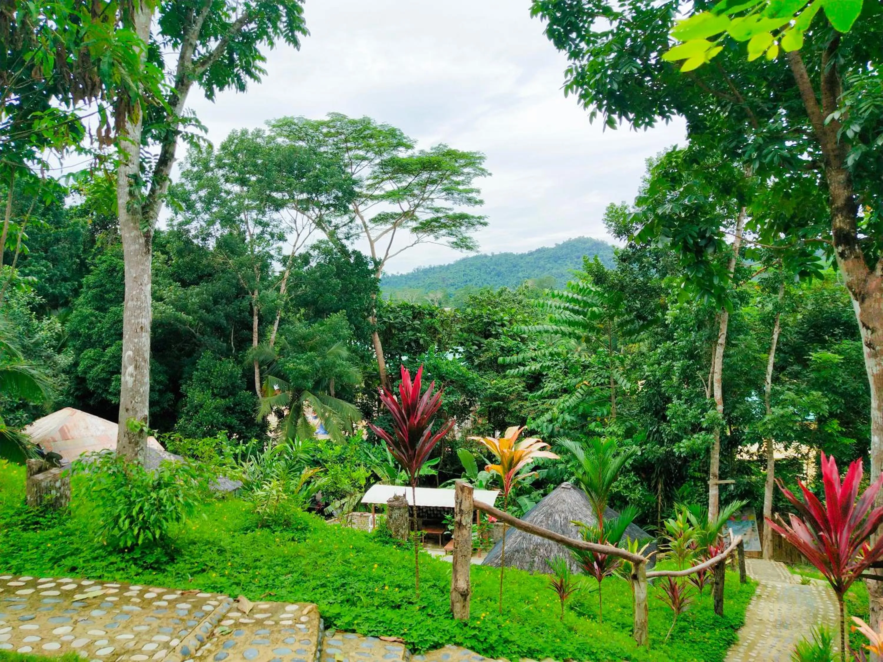 Natural landscape in Victordelia Hilltop Hostel
