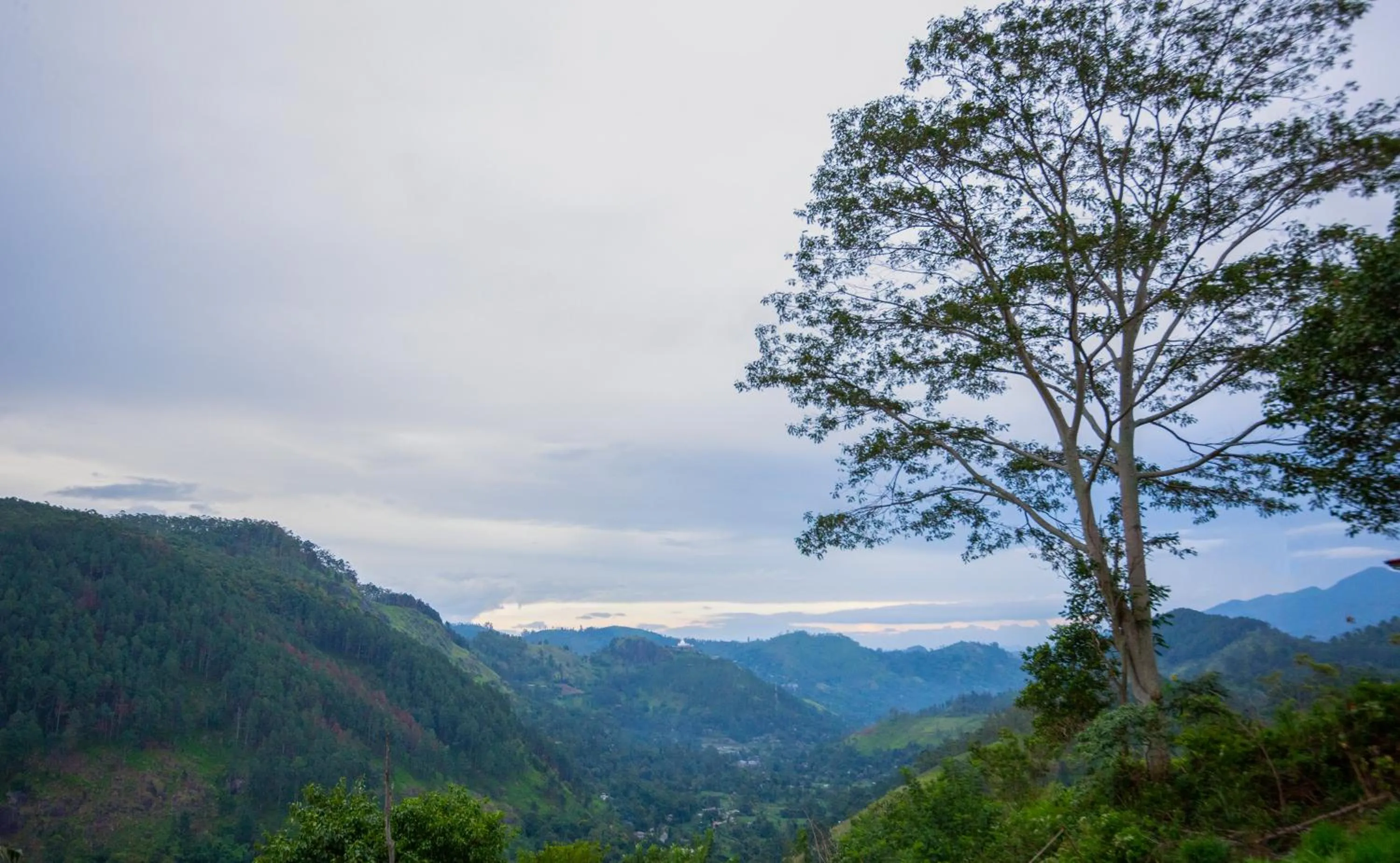 Dowa Elegance Resort