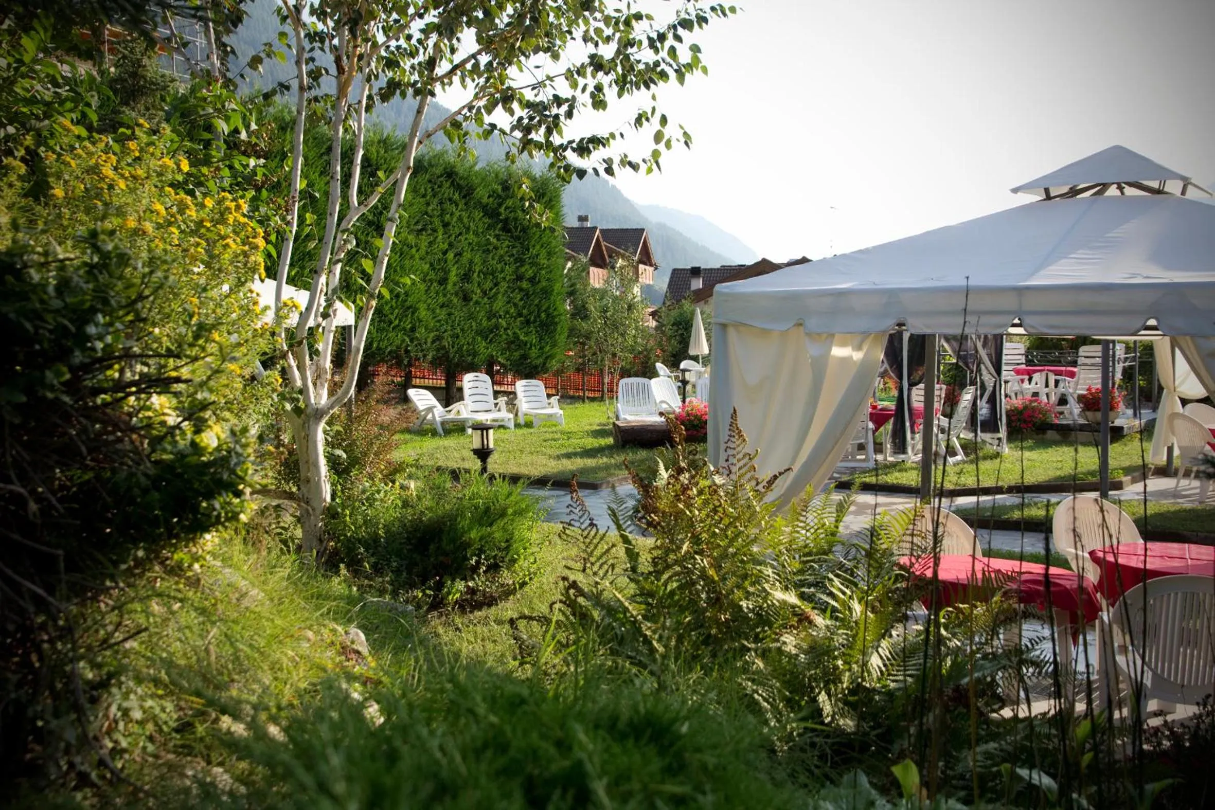 Garden in Hotel Michela