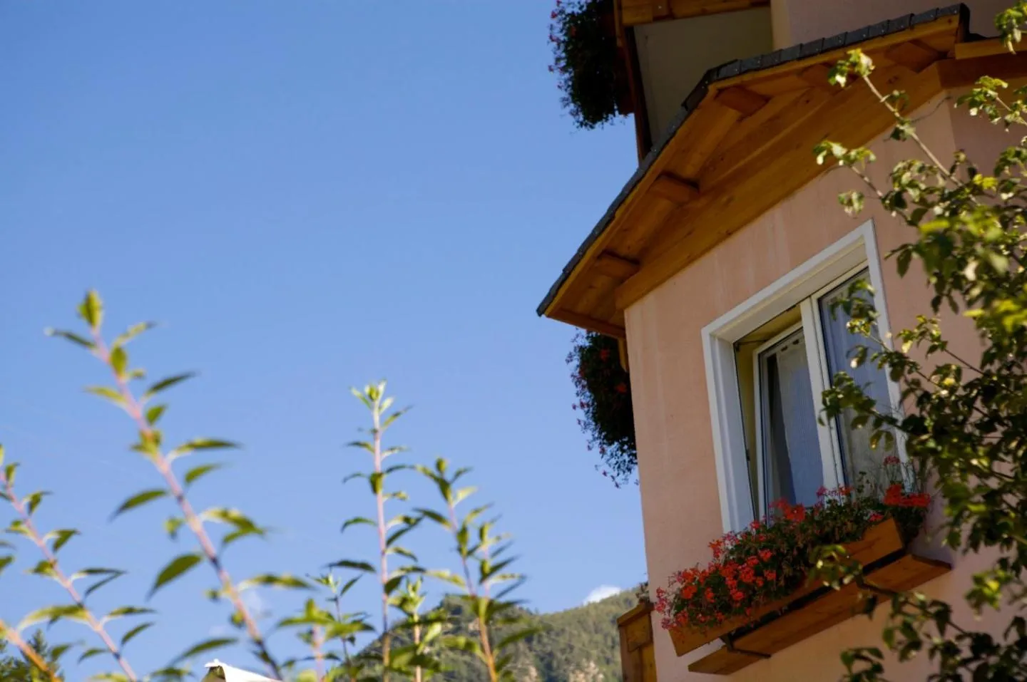 Property building in Hotel Michela