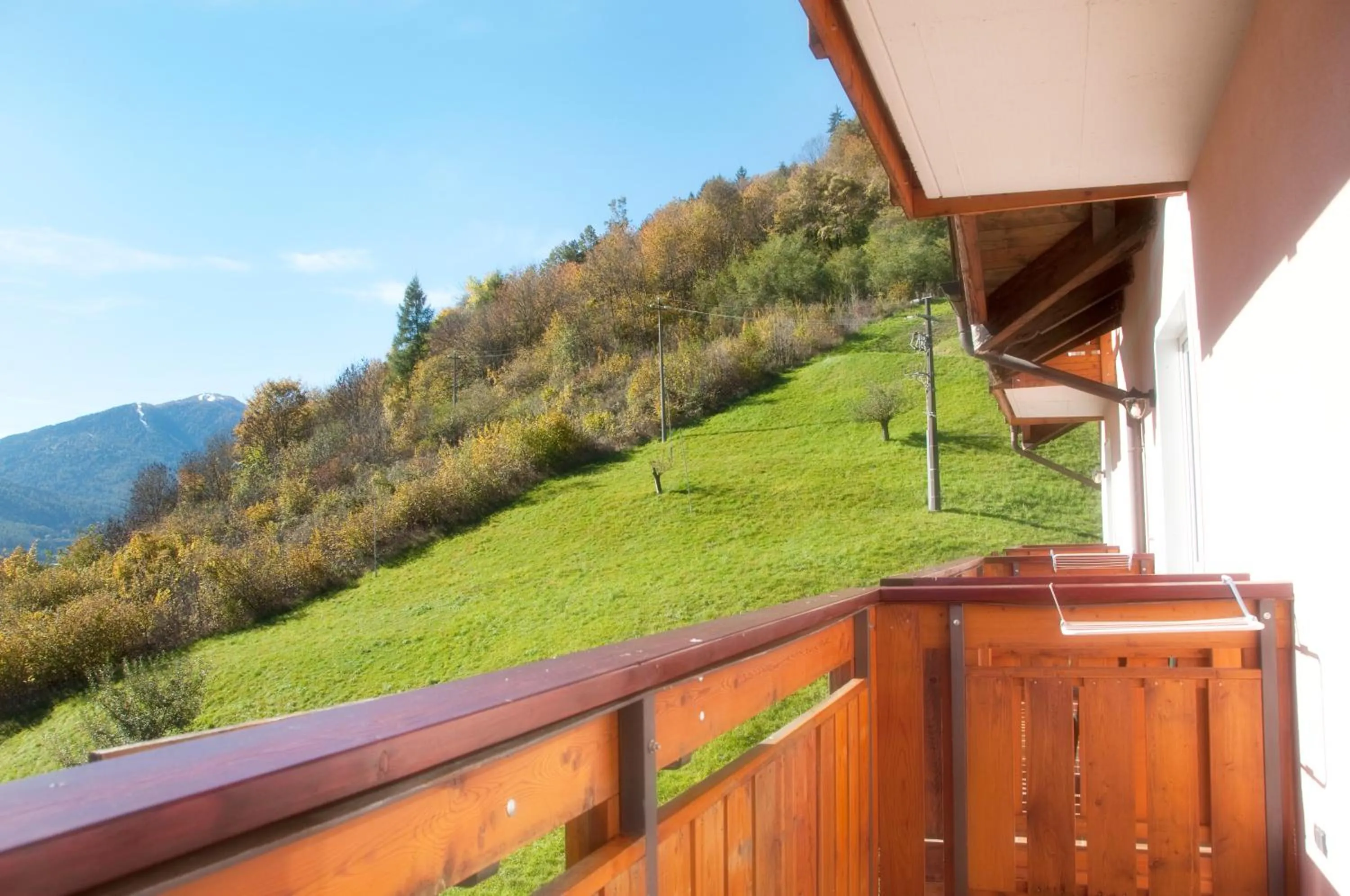 Garden in Hotel Michela