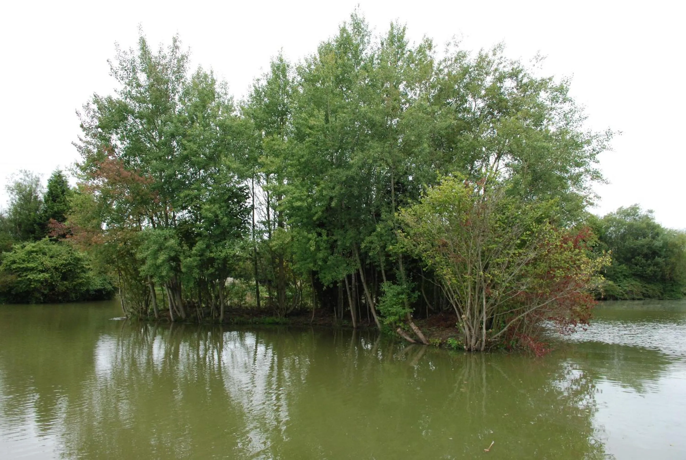 Property building in TheWaterfrontLodges