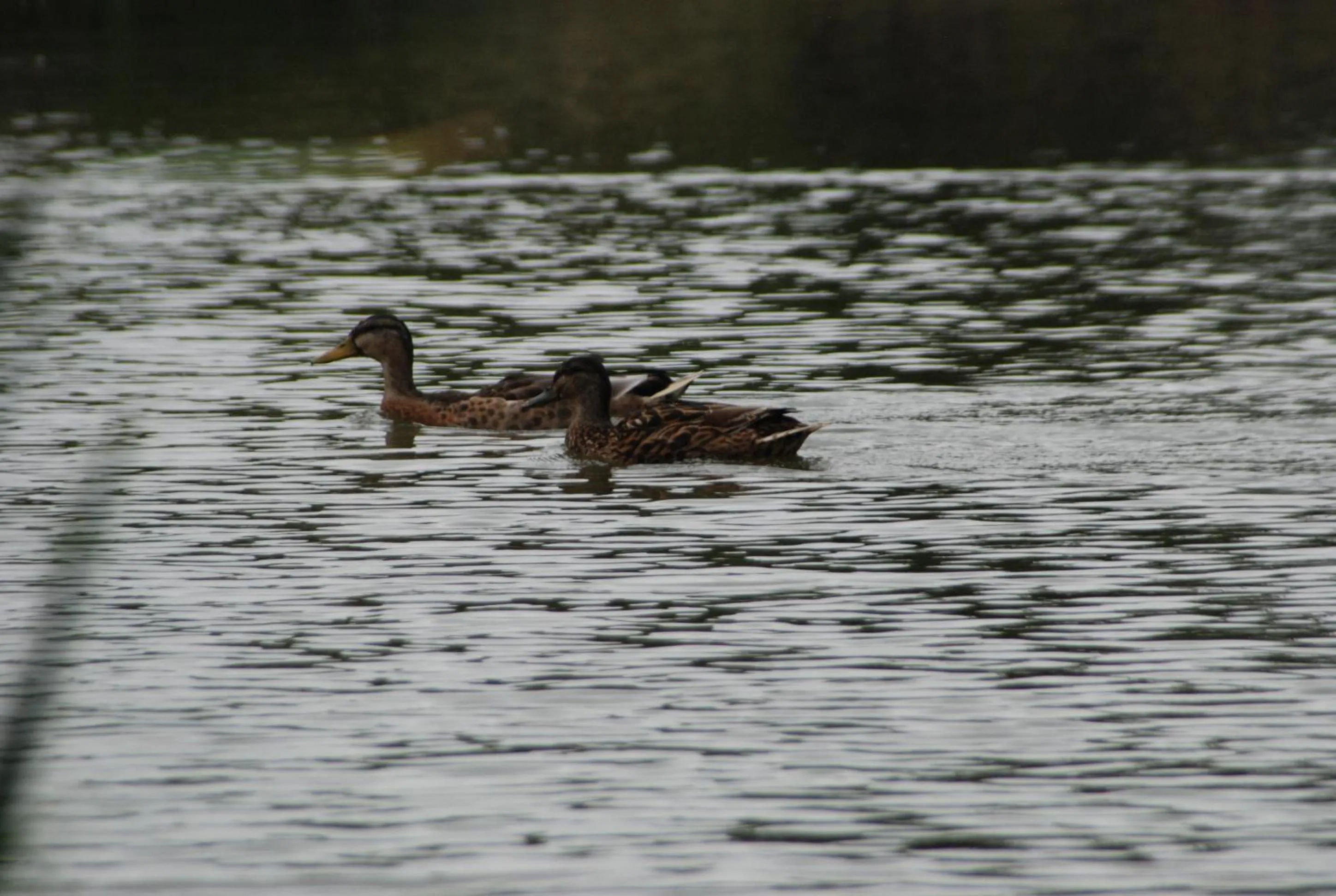 Property building in TheWaterfrontLodges