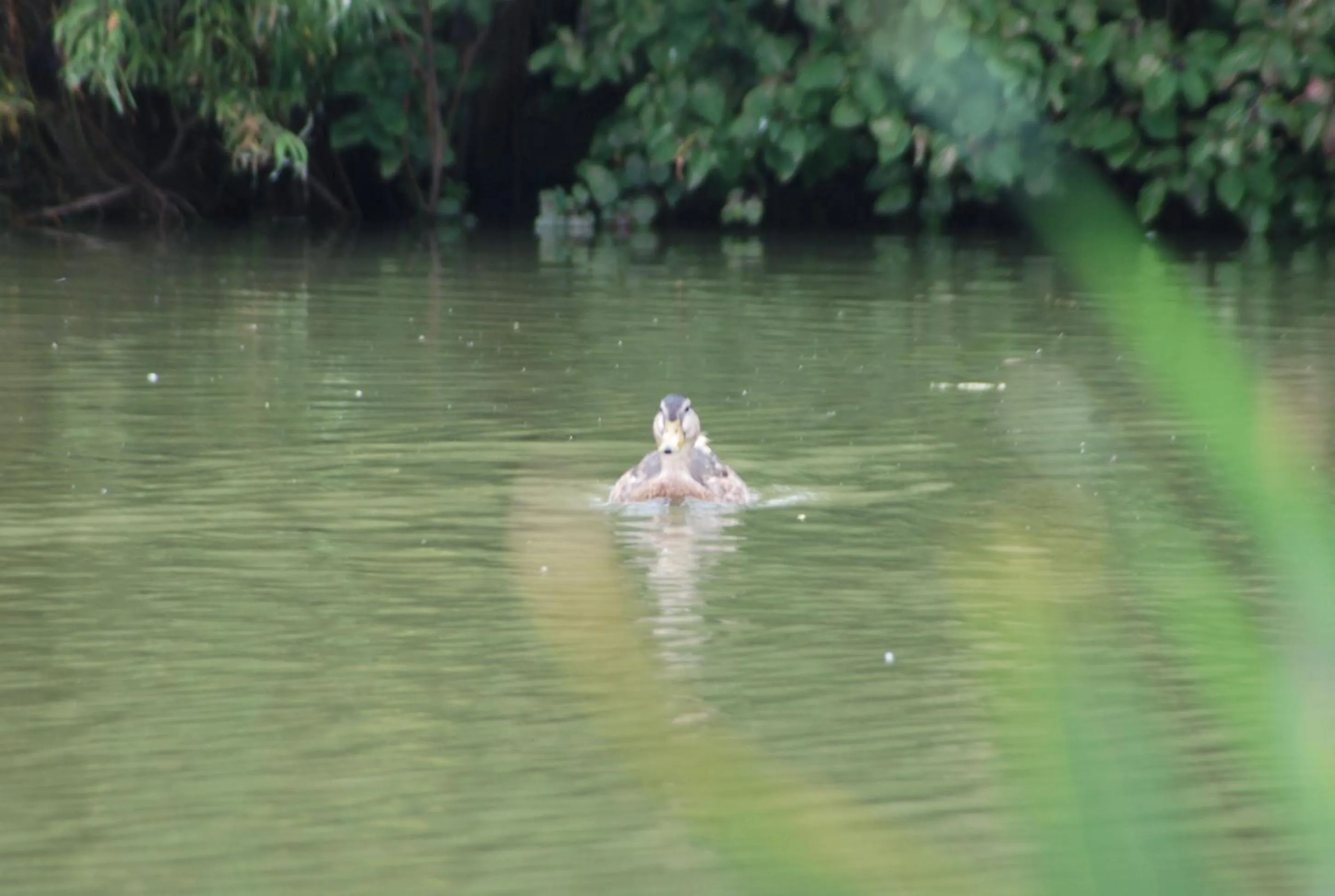 Property building in TheWaterfrontLodges