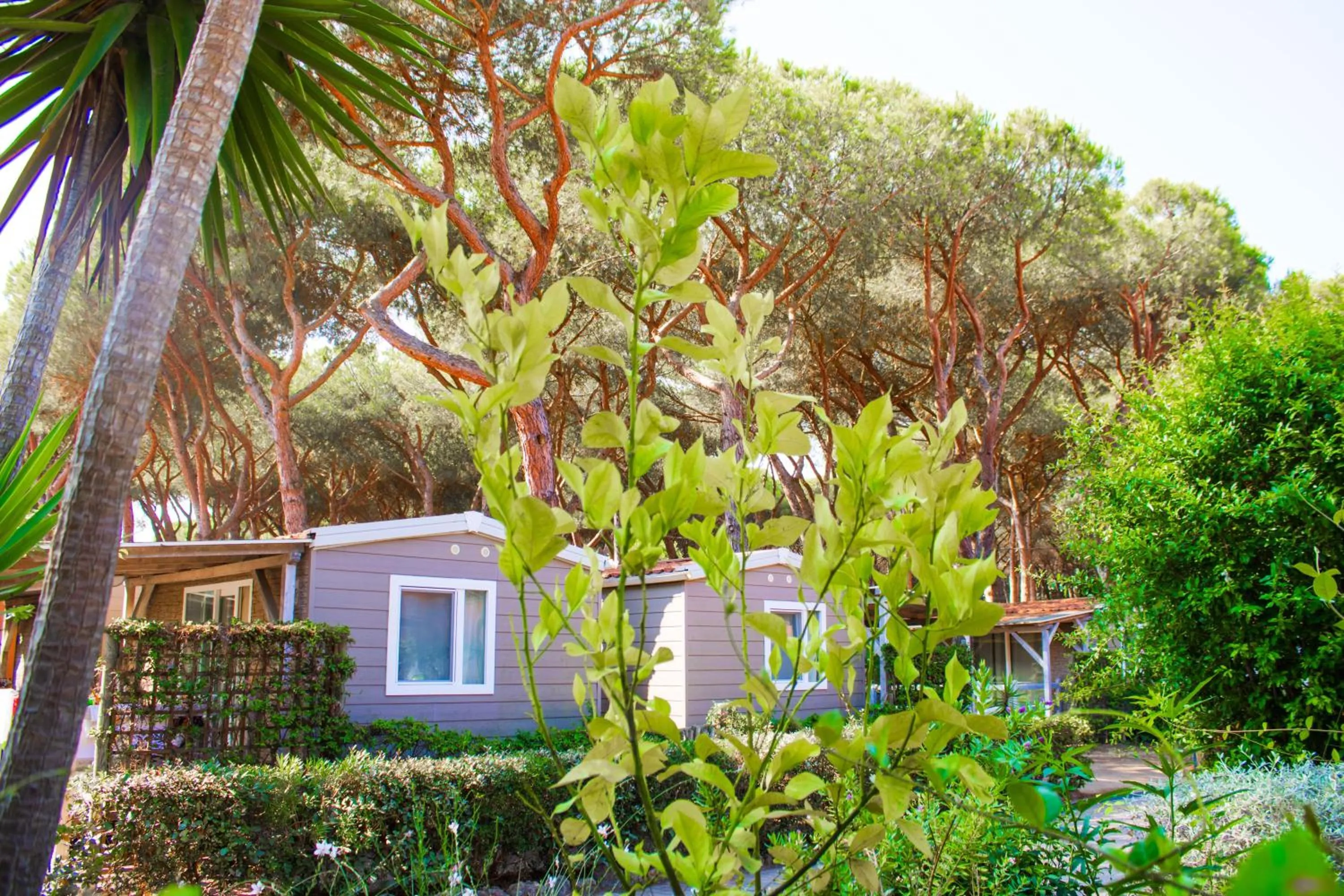 Property building in Gitavillage Il Gabbiano