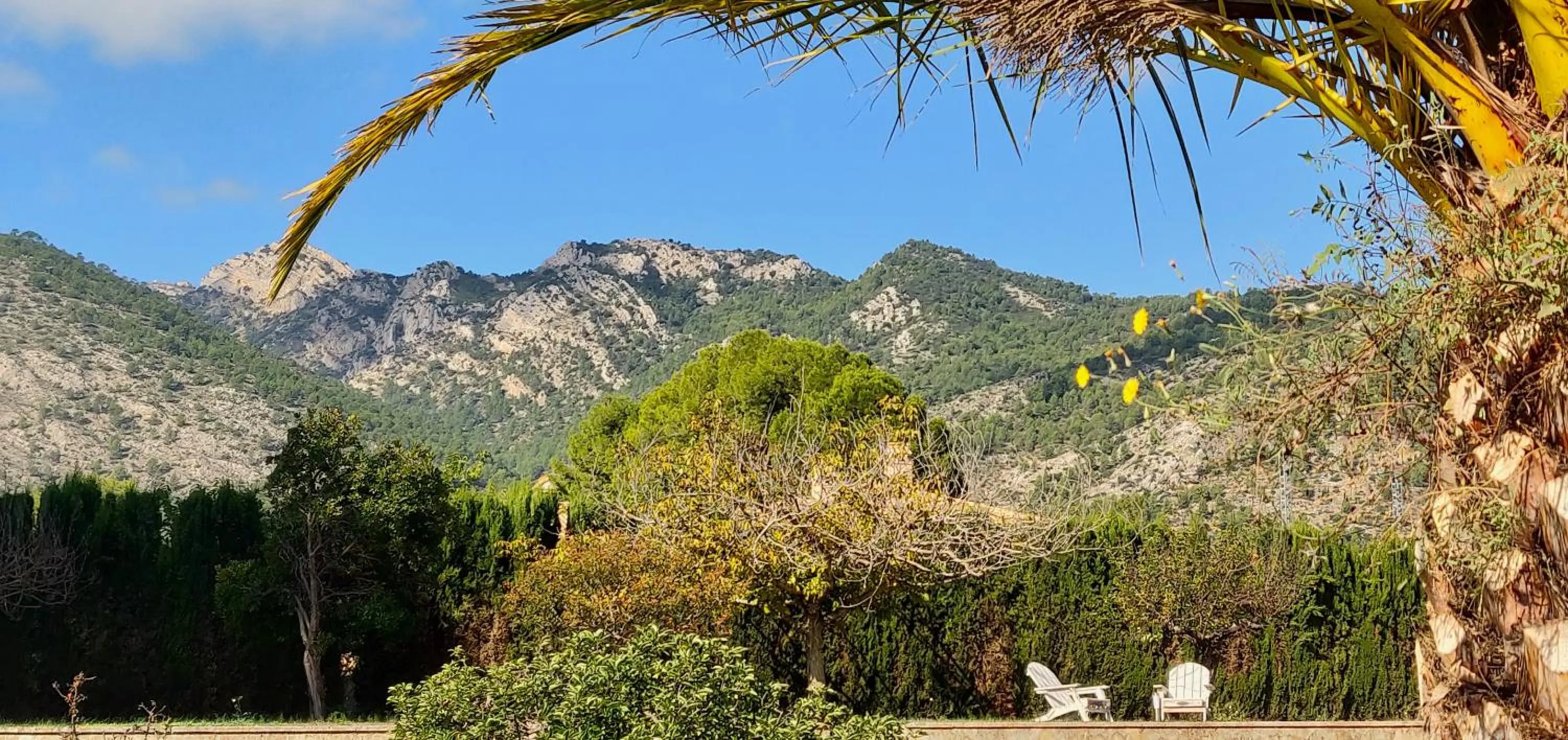 Hiking in Casa de Los Lirios