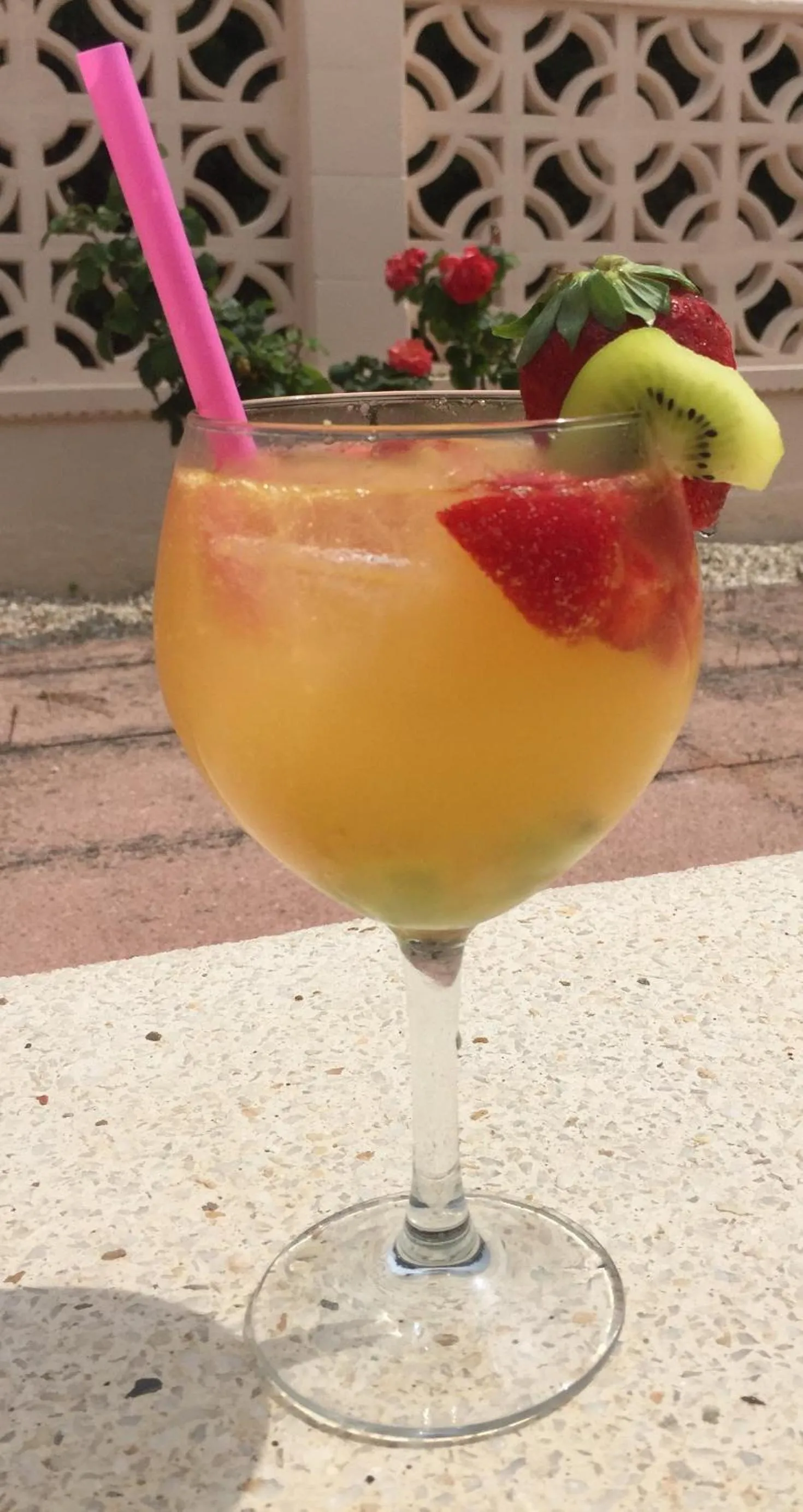 On site in Casa de Los Lirios