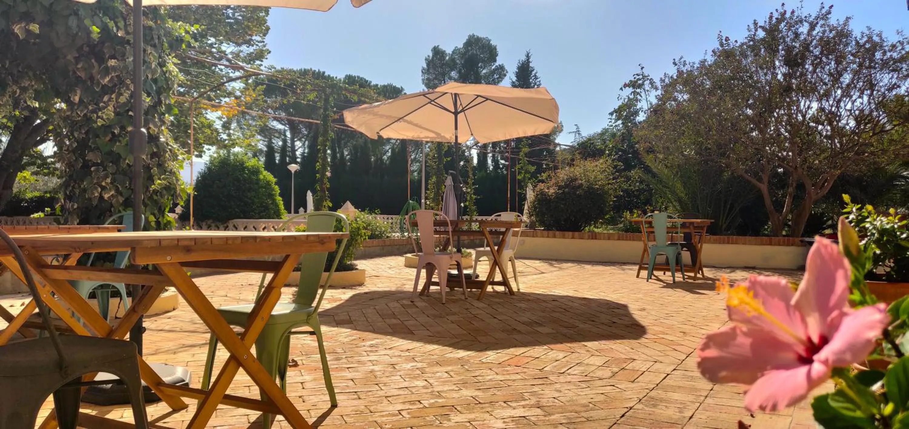 Garden in Casa de Los Lirios