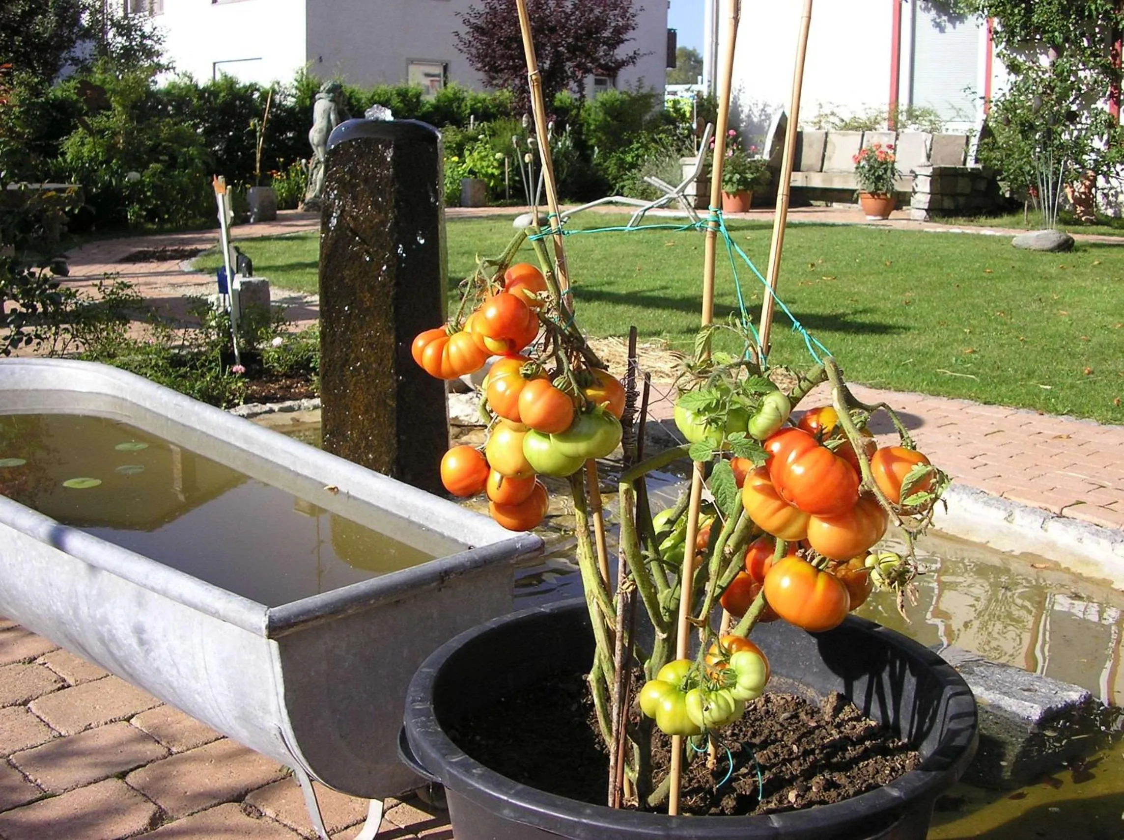 Property building in Arthotel Ana Panorama