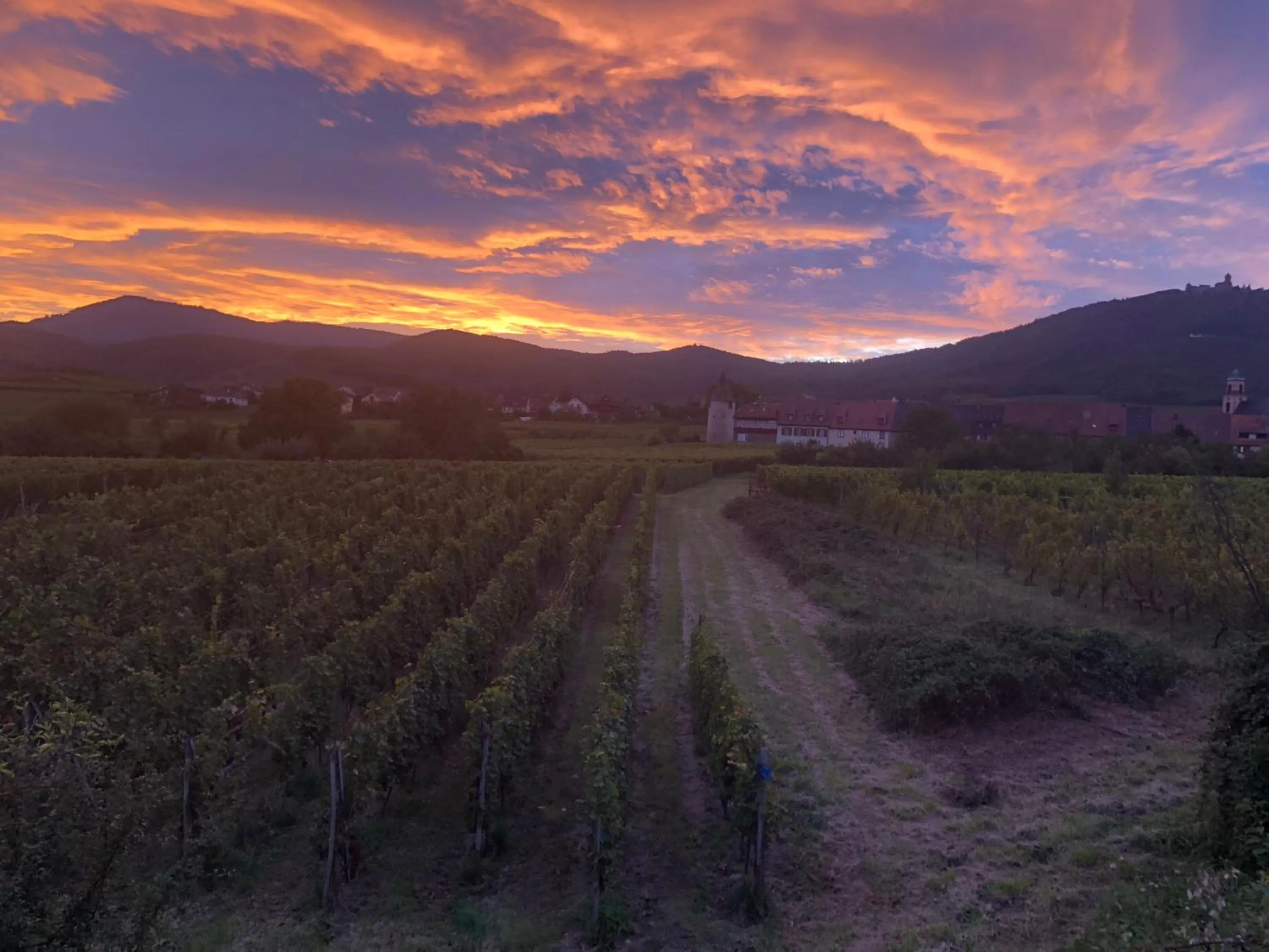 La Maison de juliette