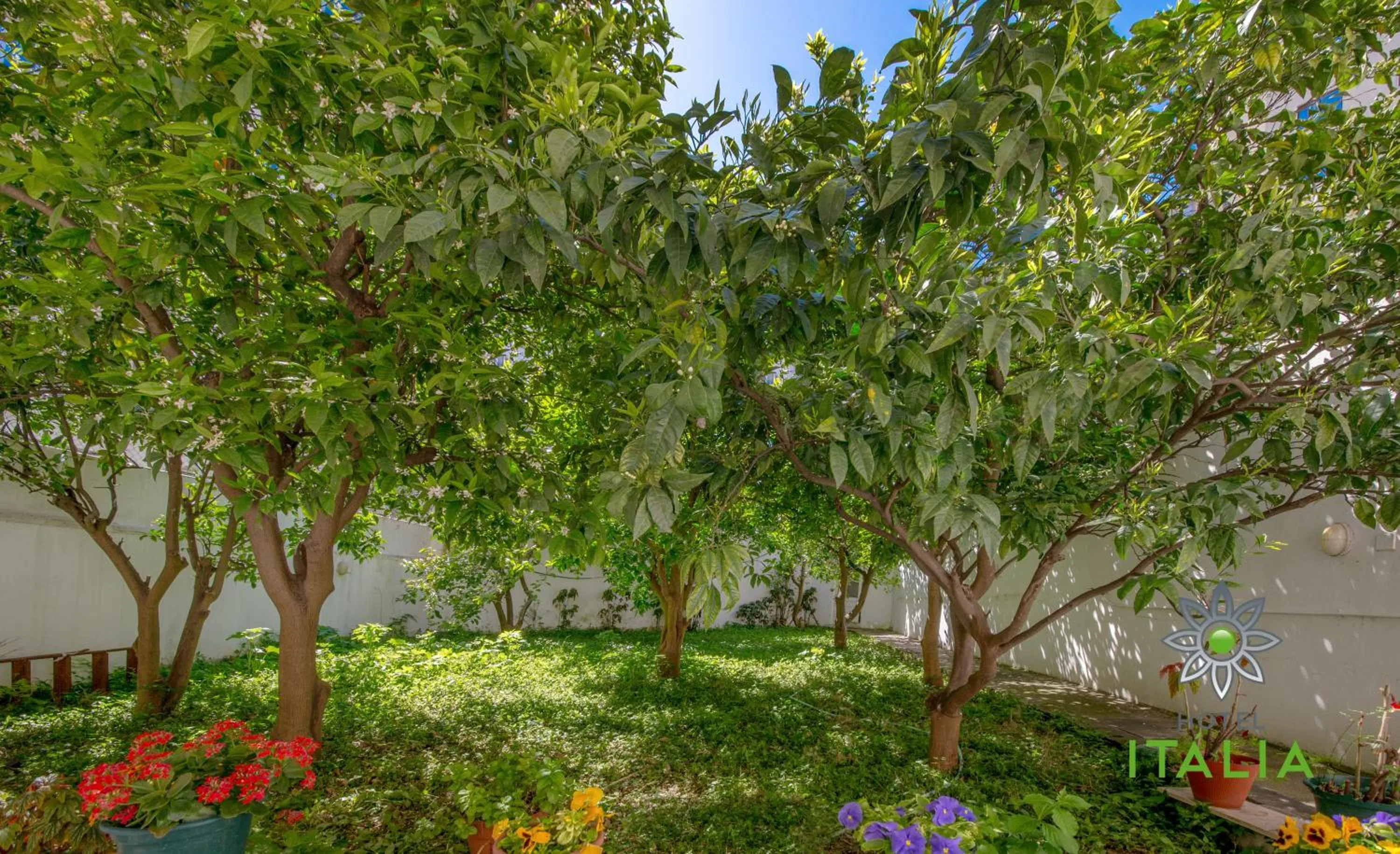 Garden in Hotel Italia